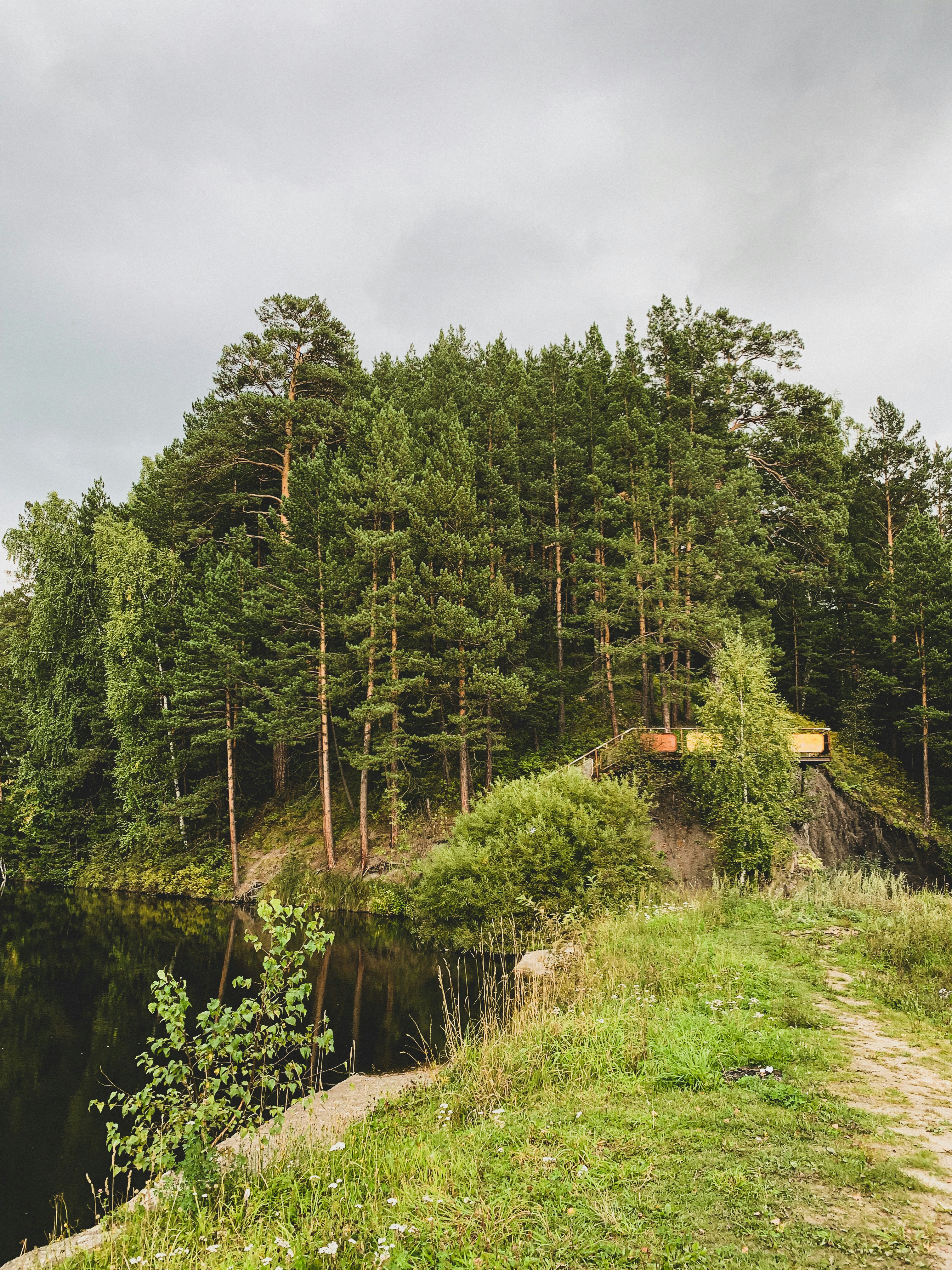 a river with trees on the side