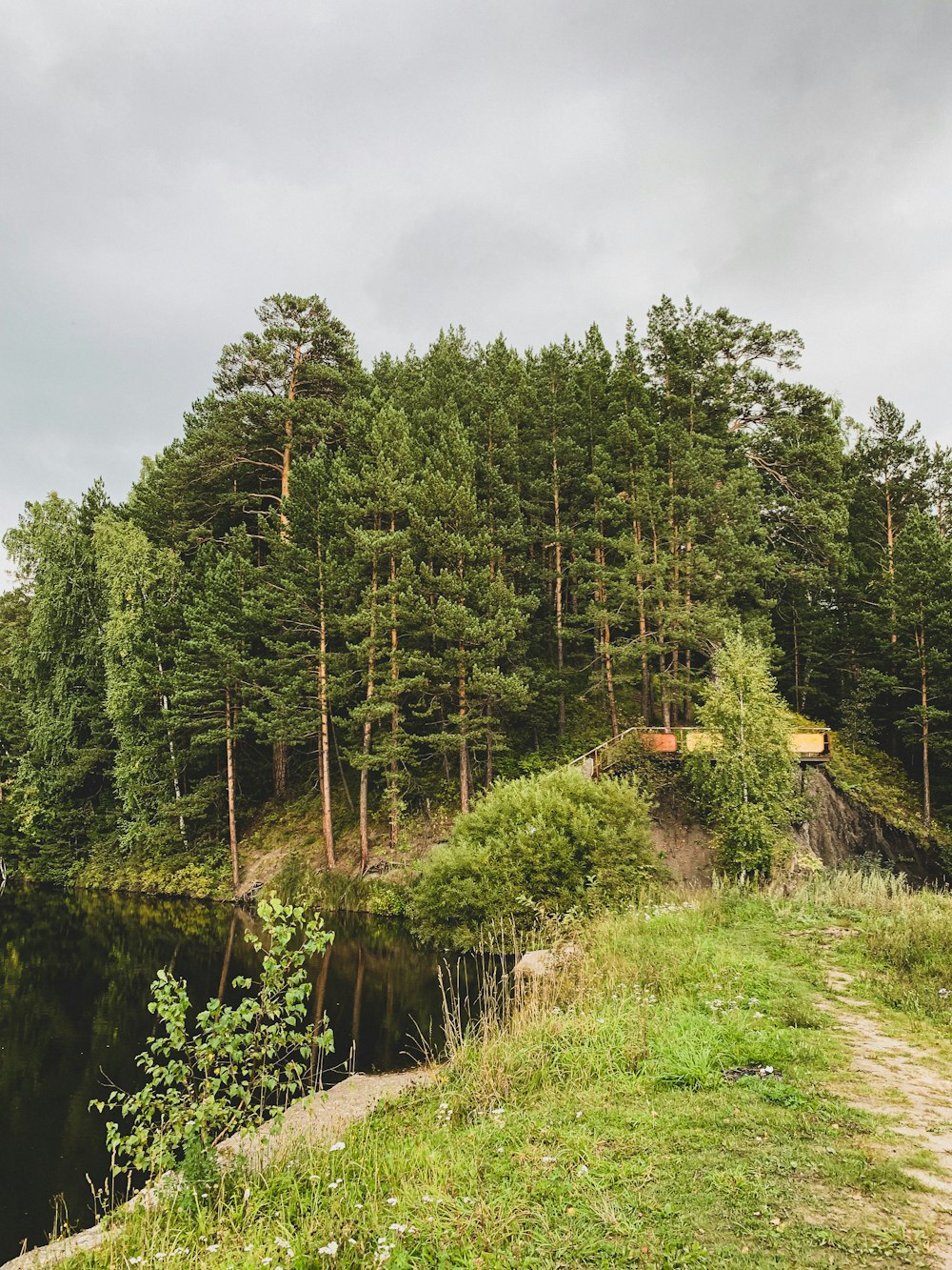 a river with trees on the side