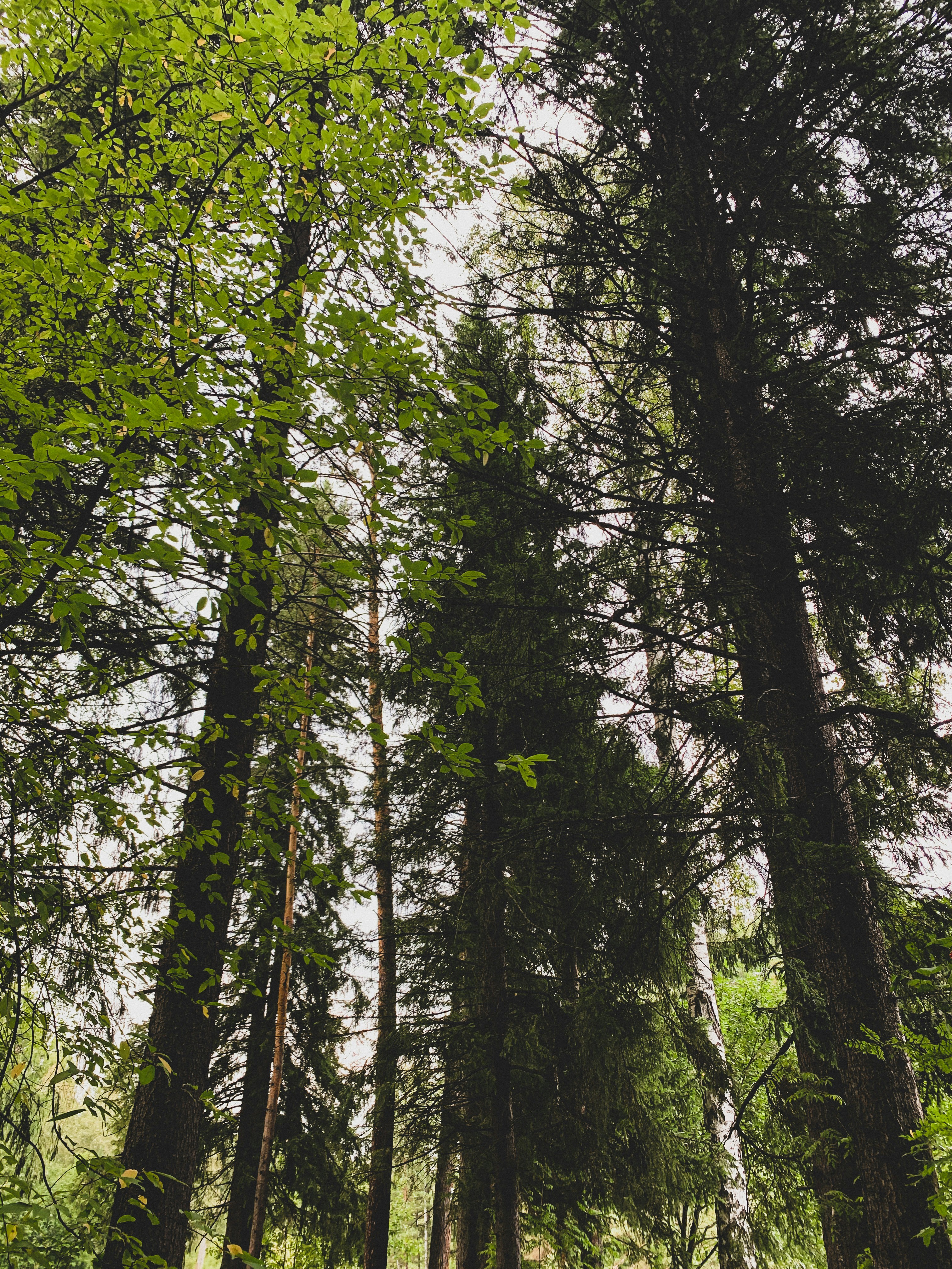 Photo by andreygrodz