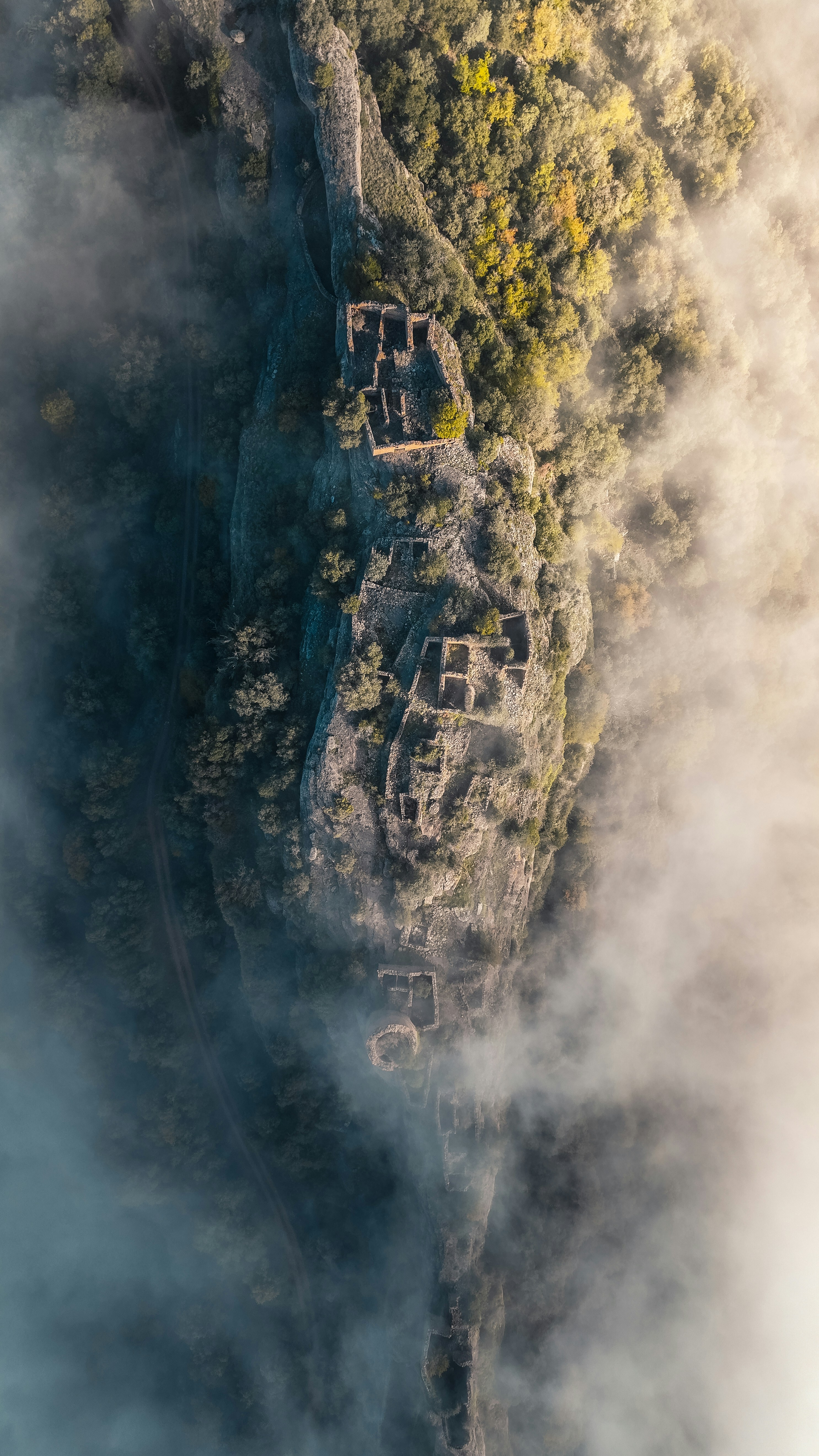 a group of people walking on a path in a field