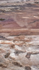 A landscape of salt flats with patches of crystallized, uneven surfaces. Reddish-brown and white tones dominate, with some darker patches scattered throughout, creating a textured and layered appearance.