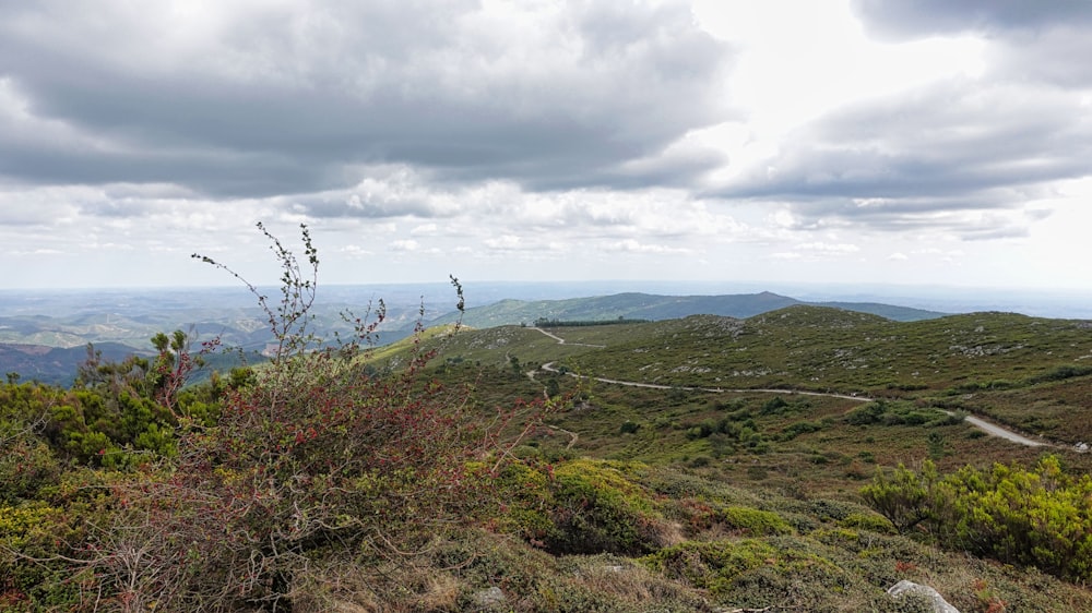 a landscape with hills and plants