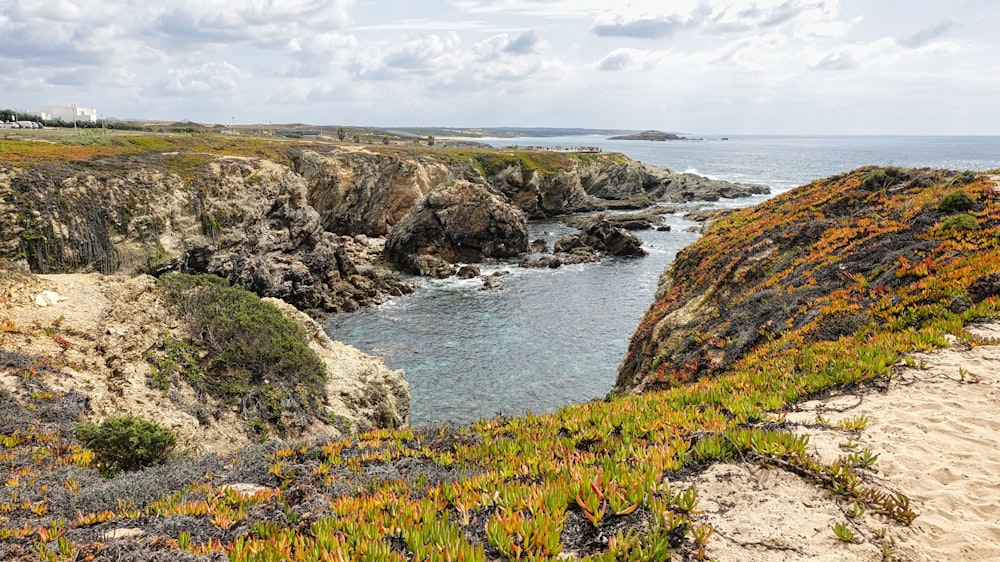 a rocky coast line