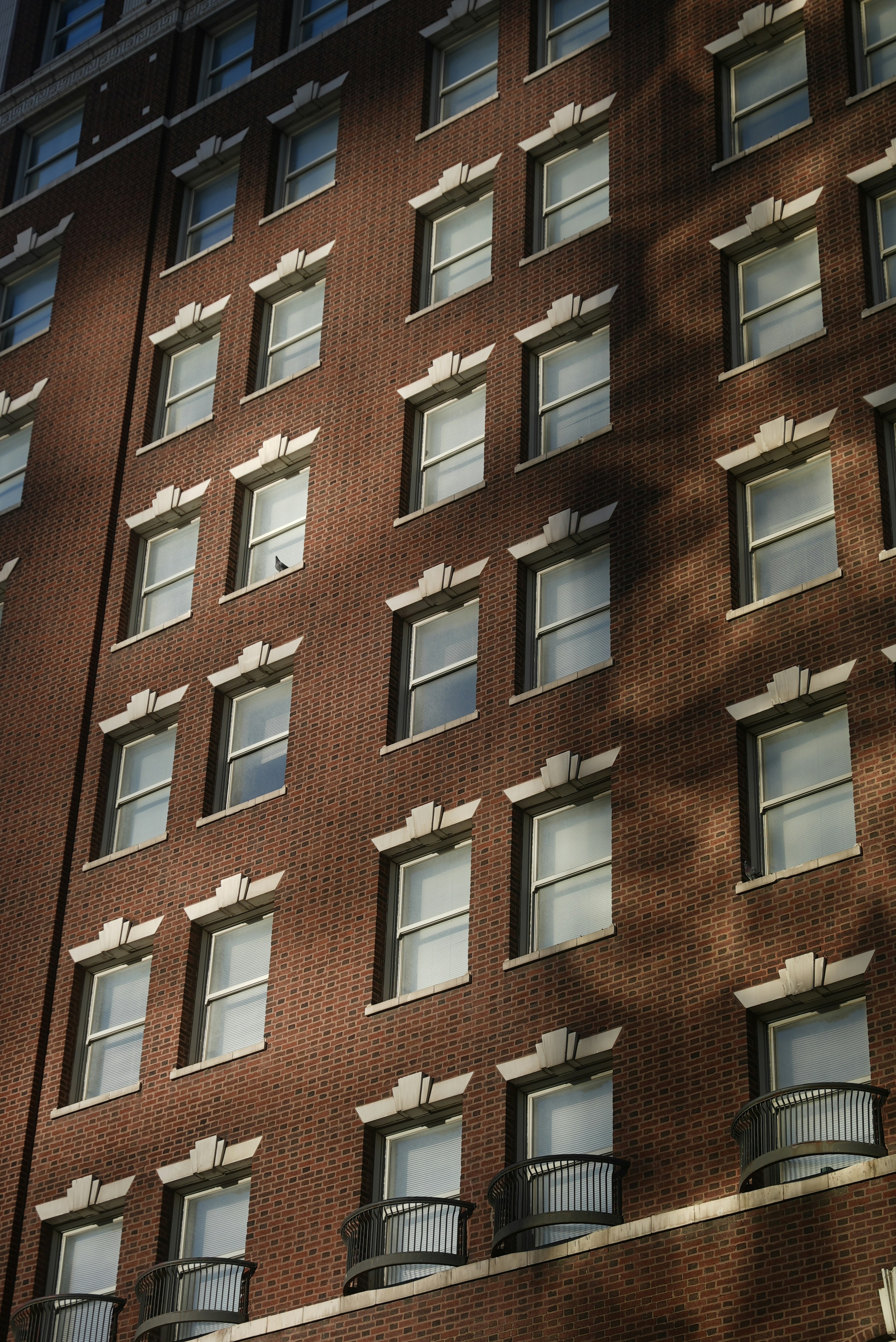 Photo by abunchafrogs