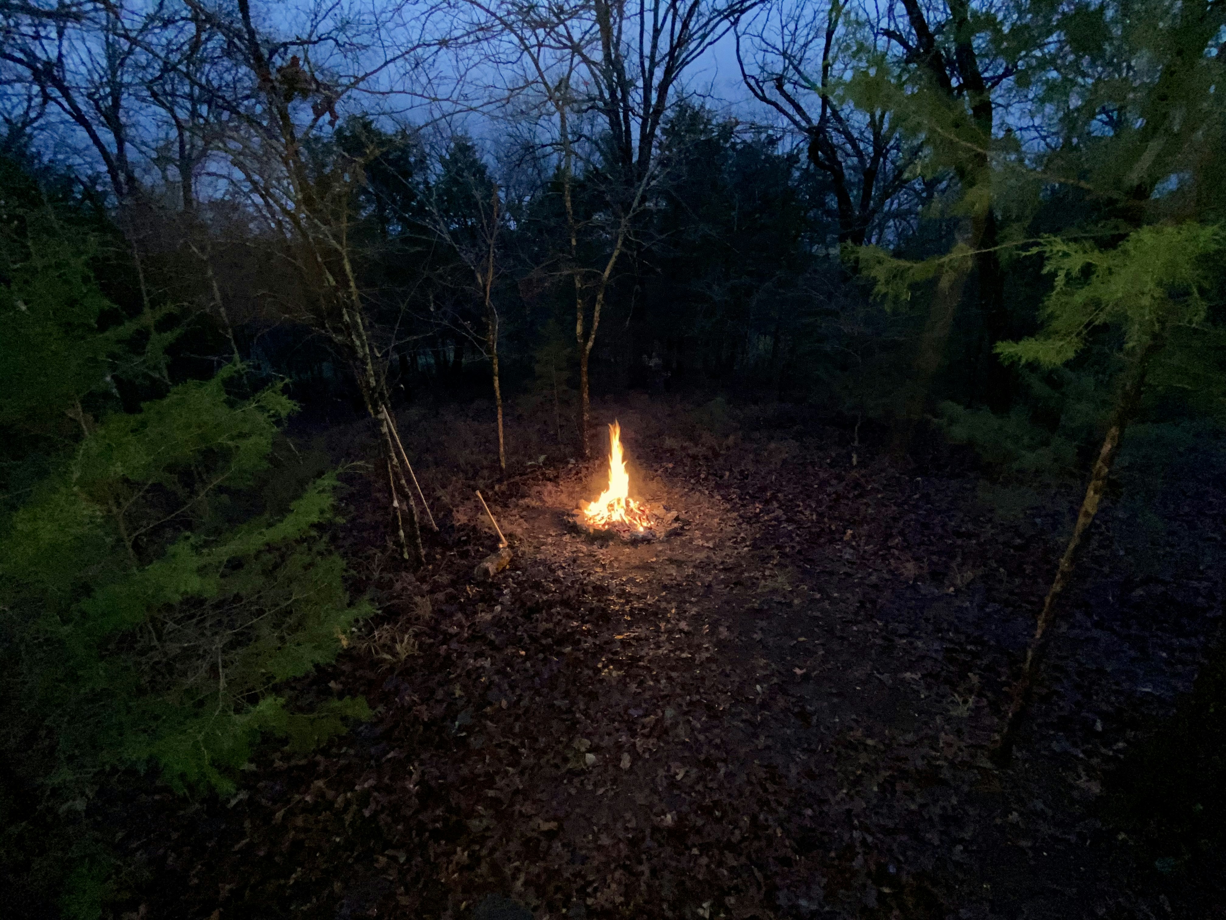 Campfire gathering in forest clearing at dusk, warm golden light, peaceful reflective atmosphere