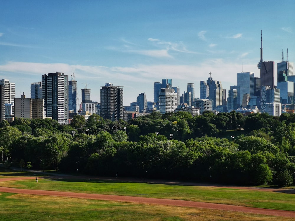 a park with trees and a city in the background