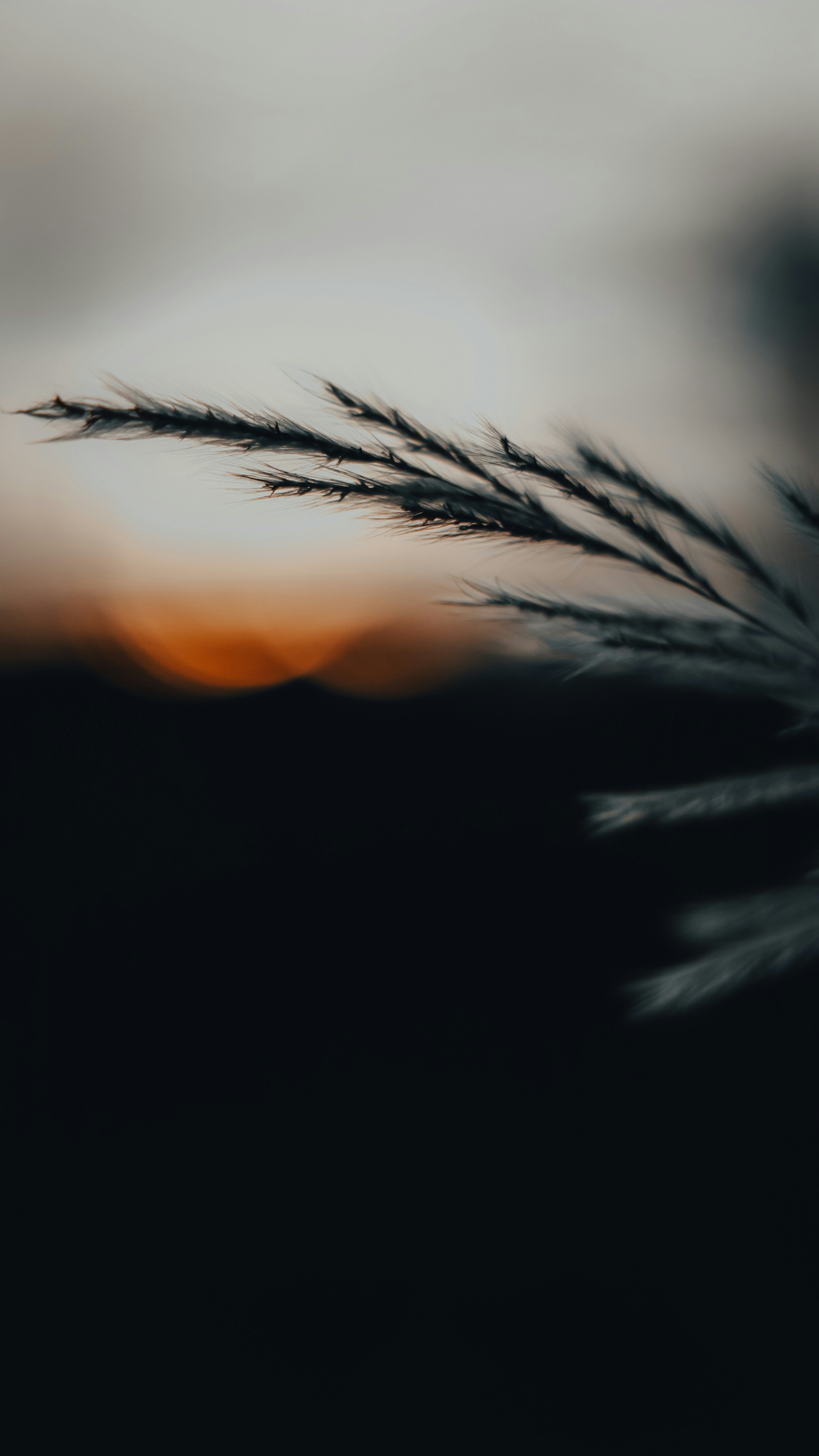 Photo by ftshafi