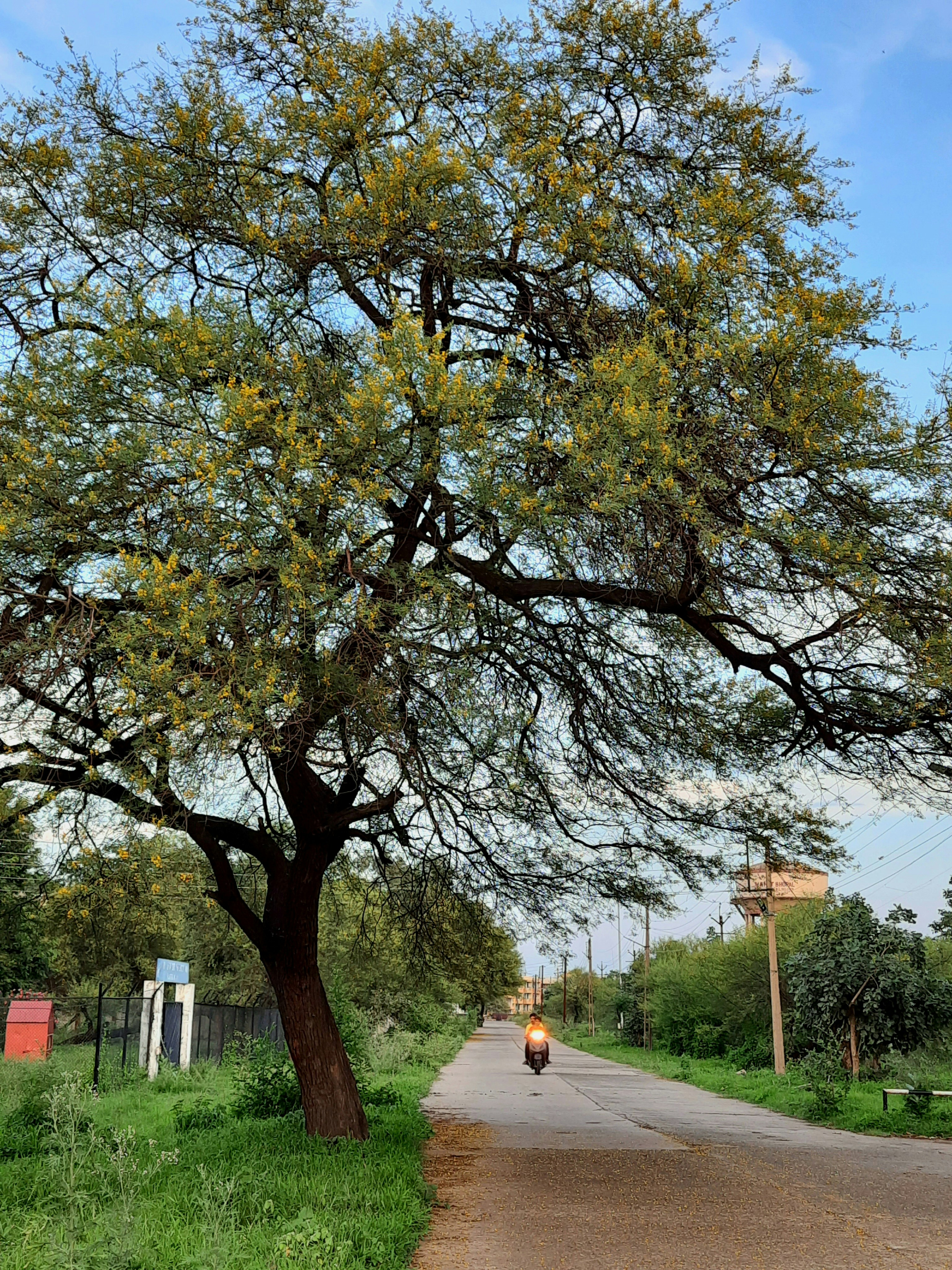 Photo by kanupriyavyas