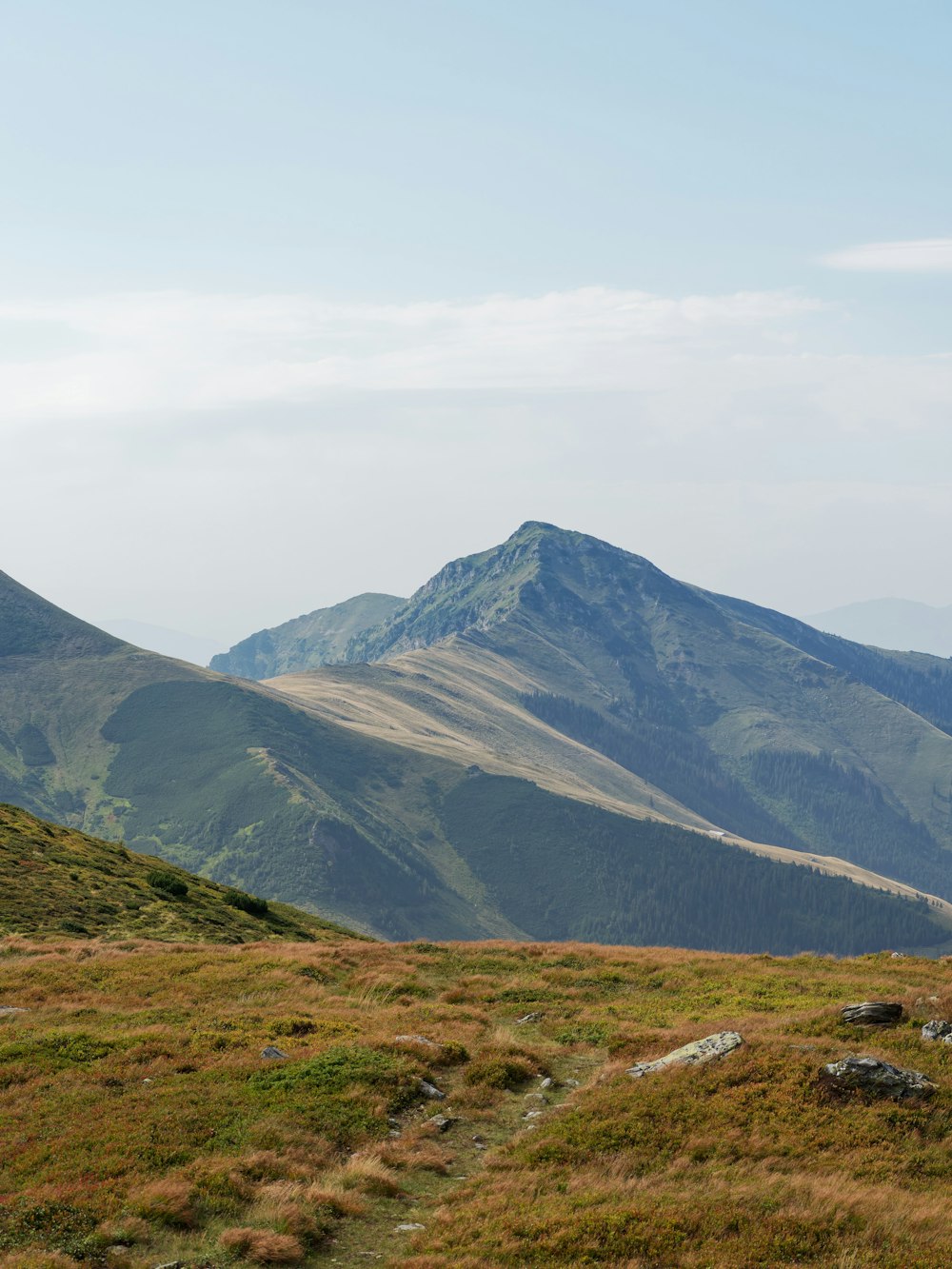 a grassy valley with a mountain in the background