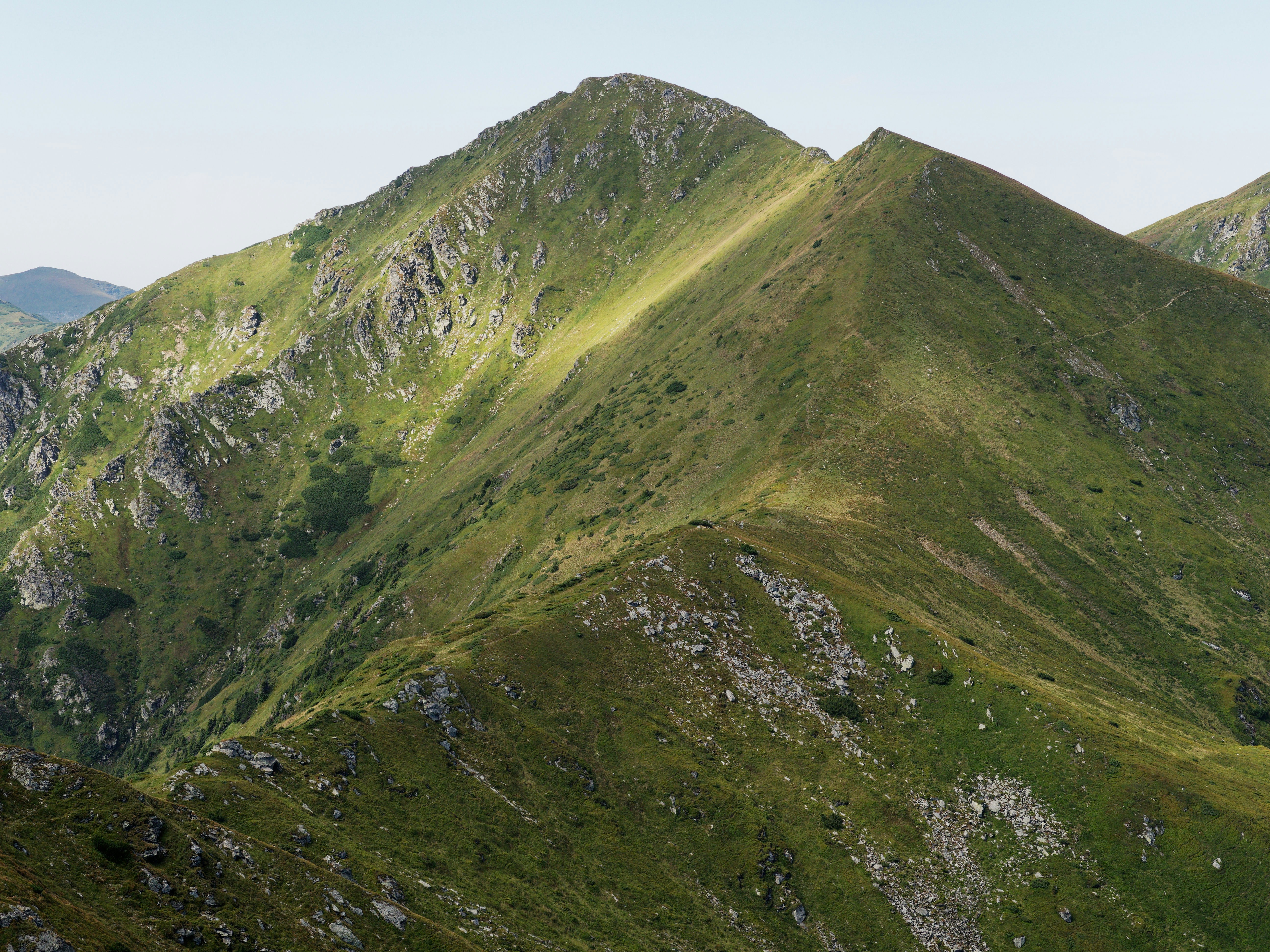 Photo by illes_cristi