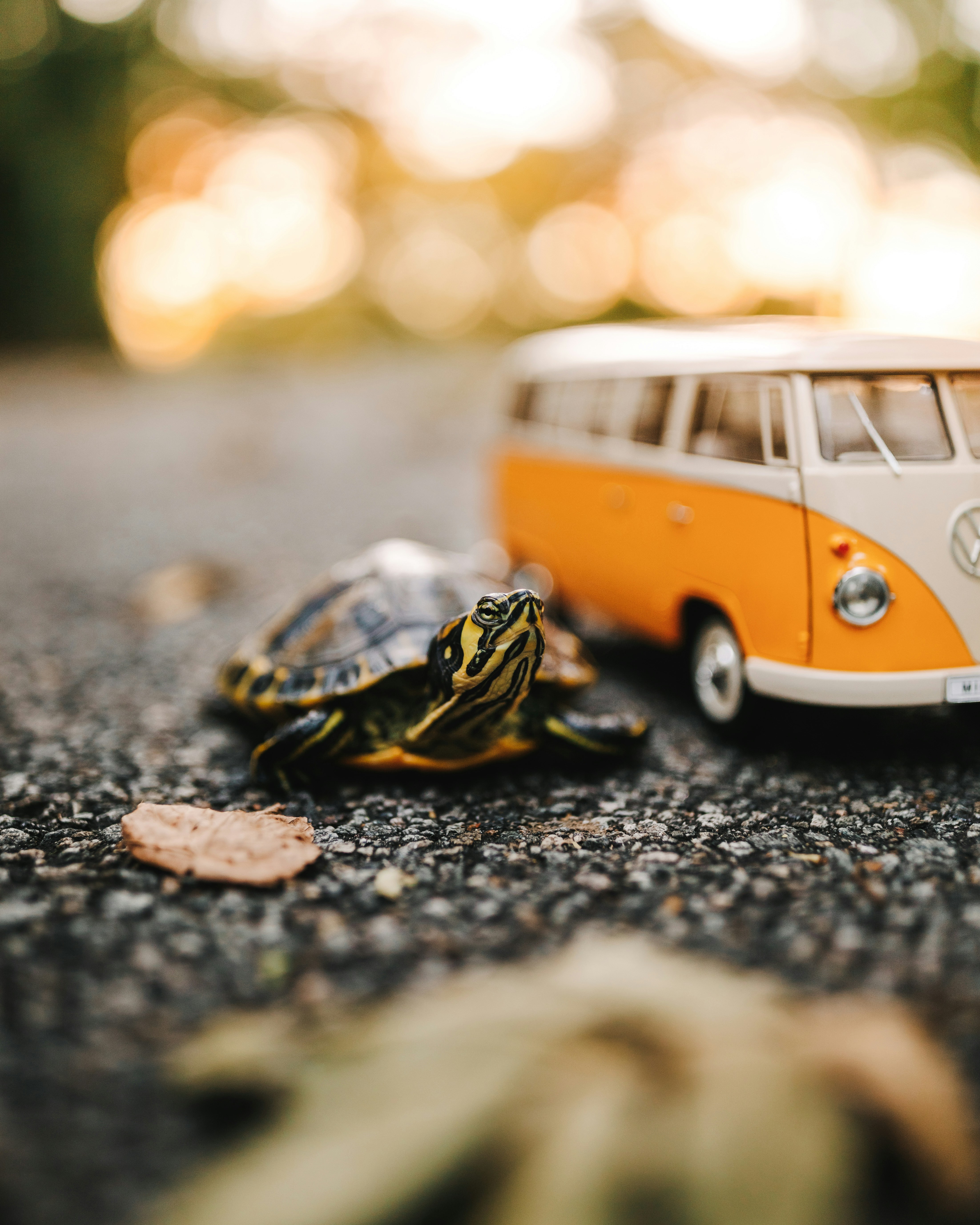 Photo by brittneyweng