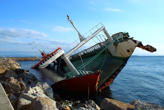 a boat on the shore