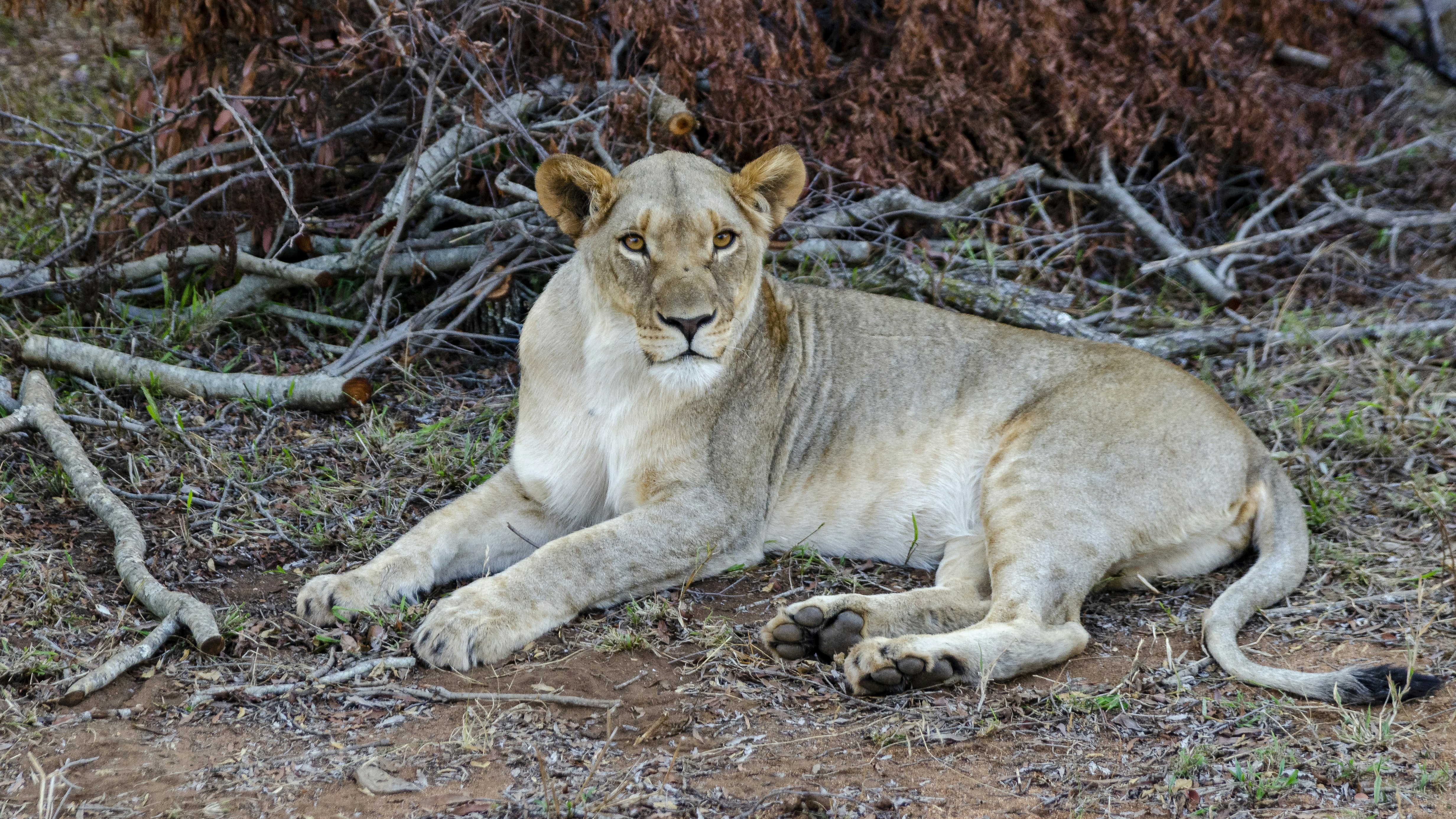 Photo by stewardesign