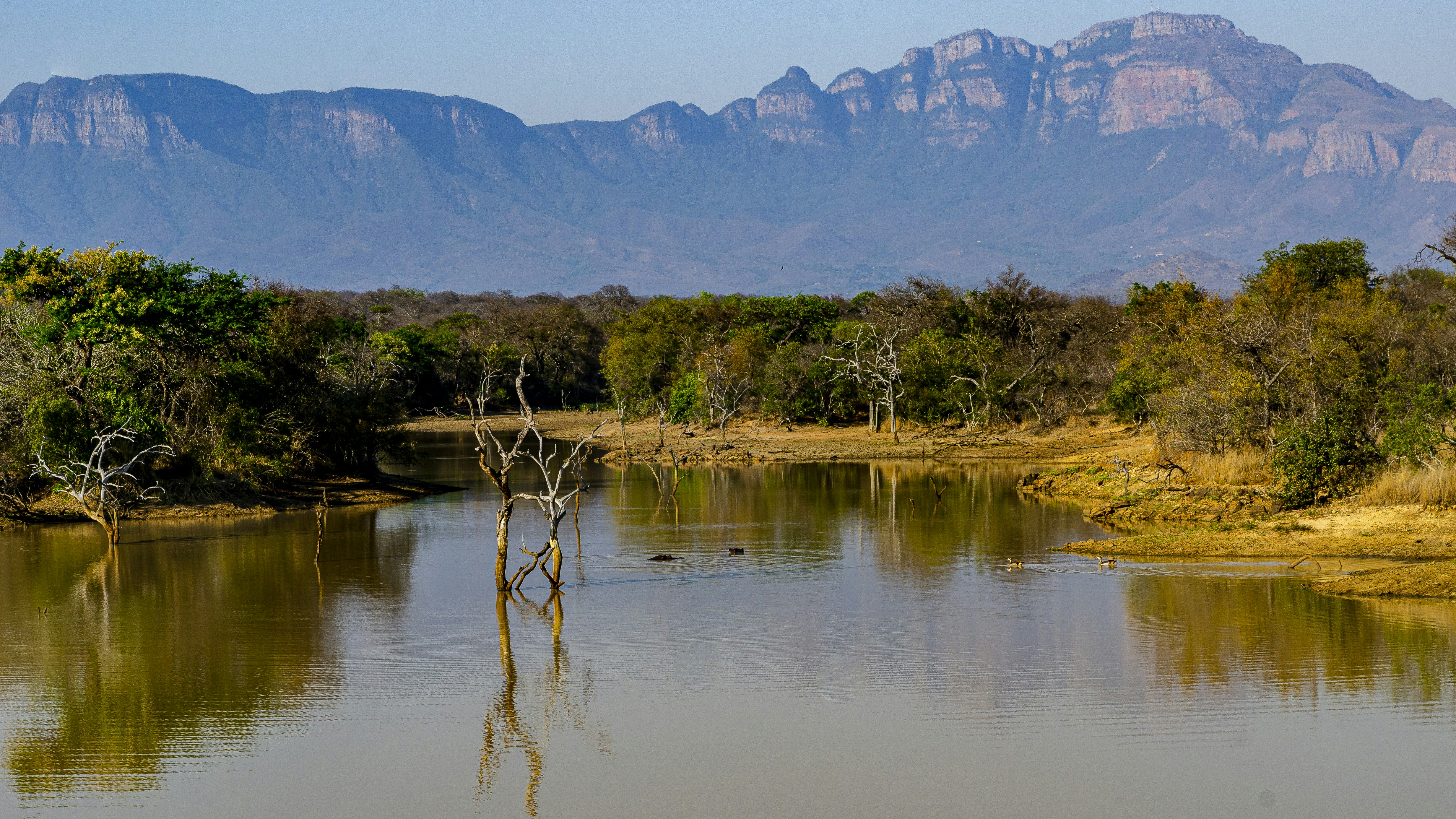 Photo by stewardesign