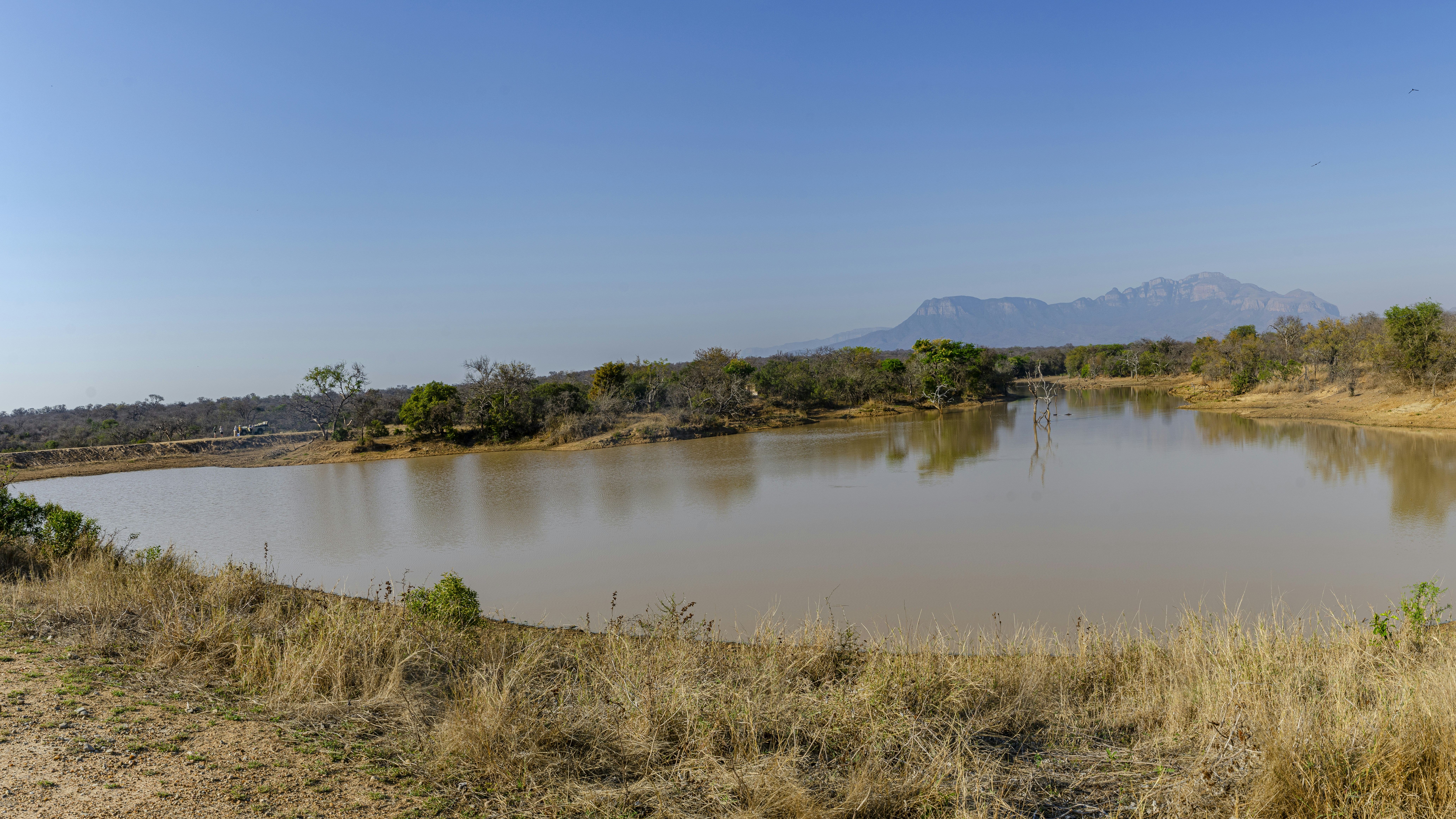 Photo by stewardesign