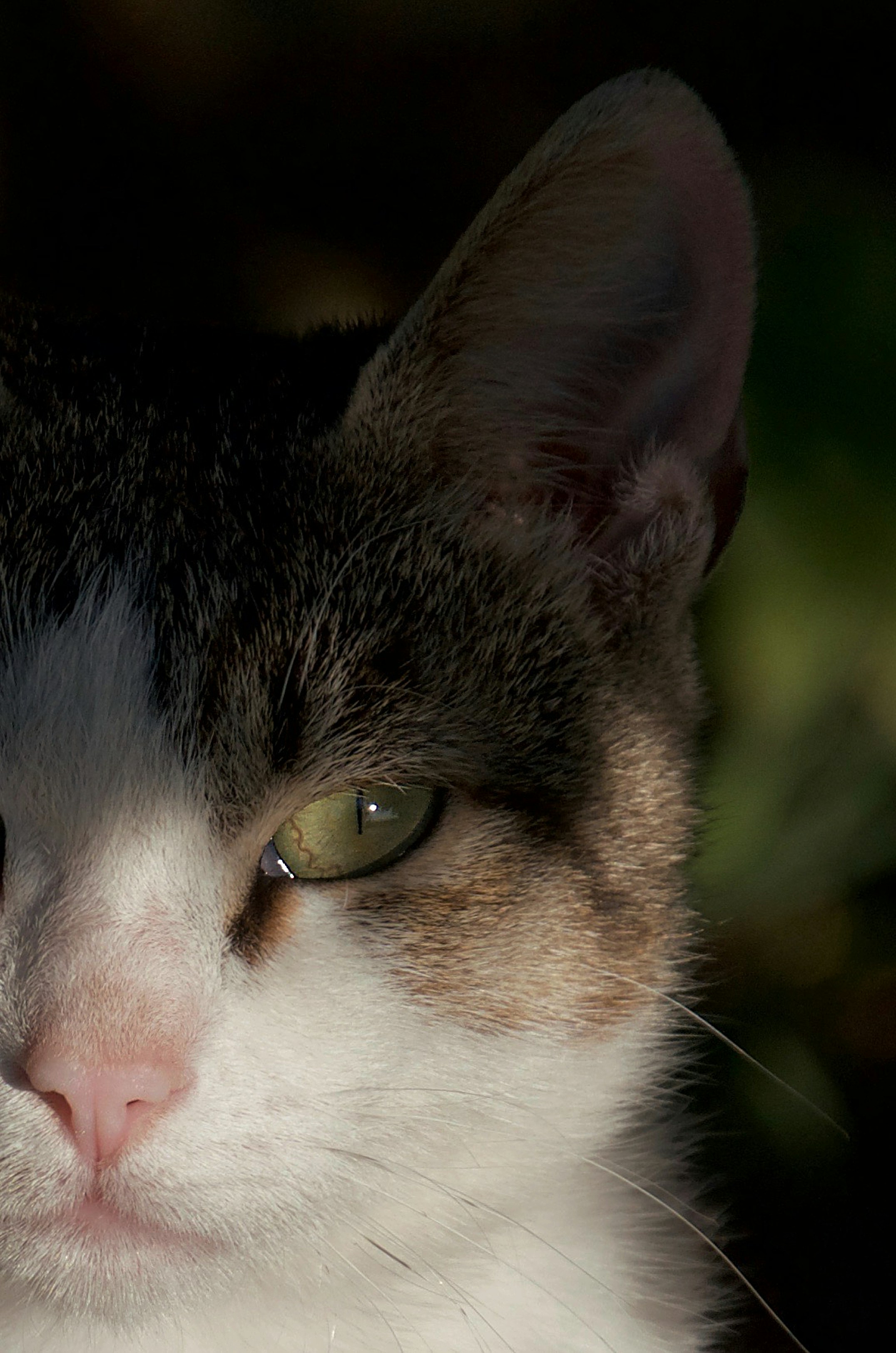 Photo by mariobeducci