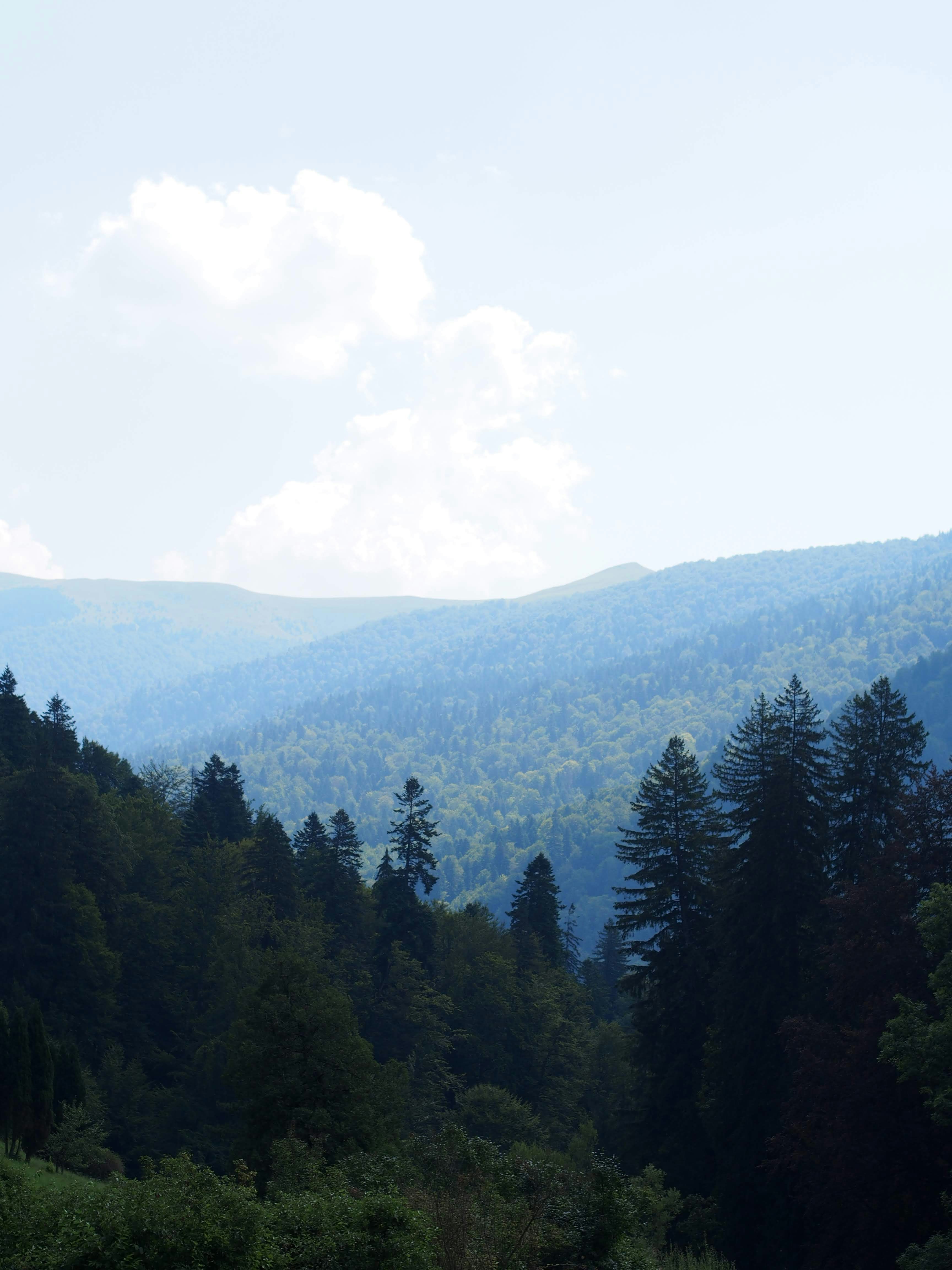 Photo by ollietulett