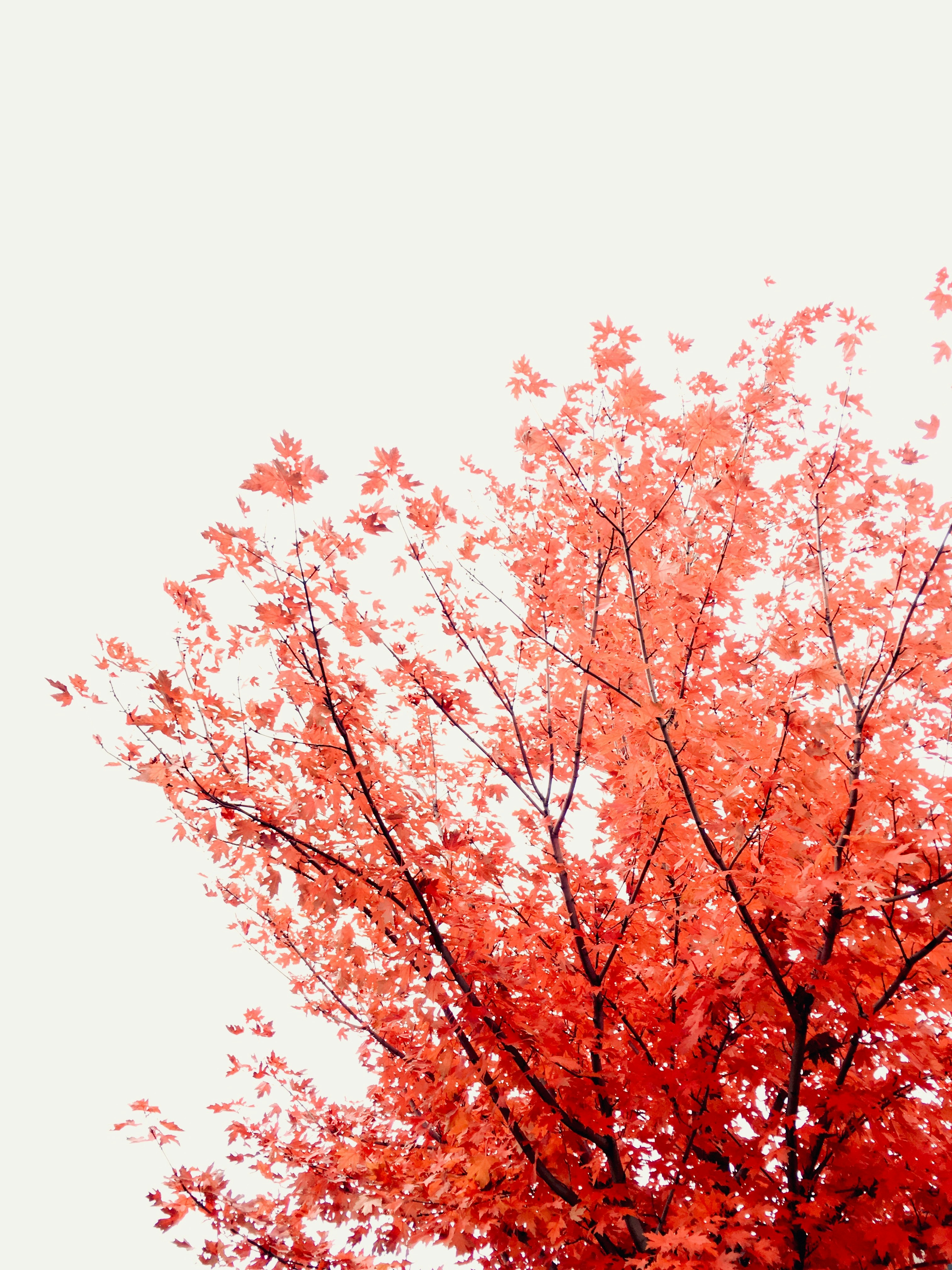 Photo by crossxproduct