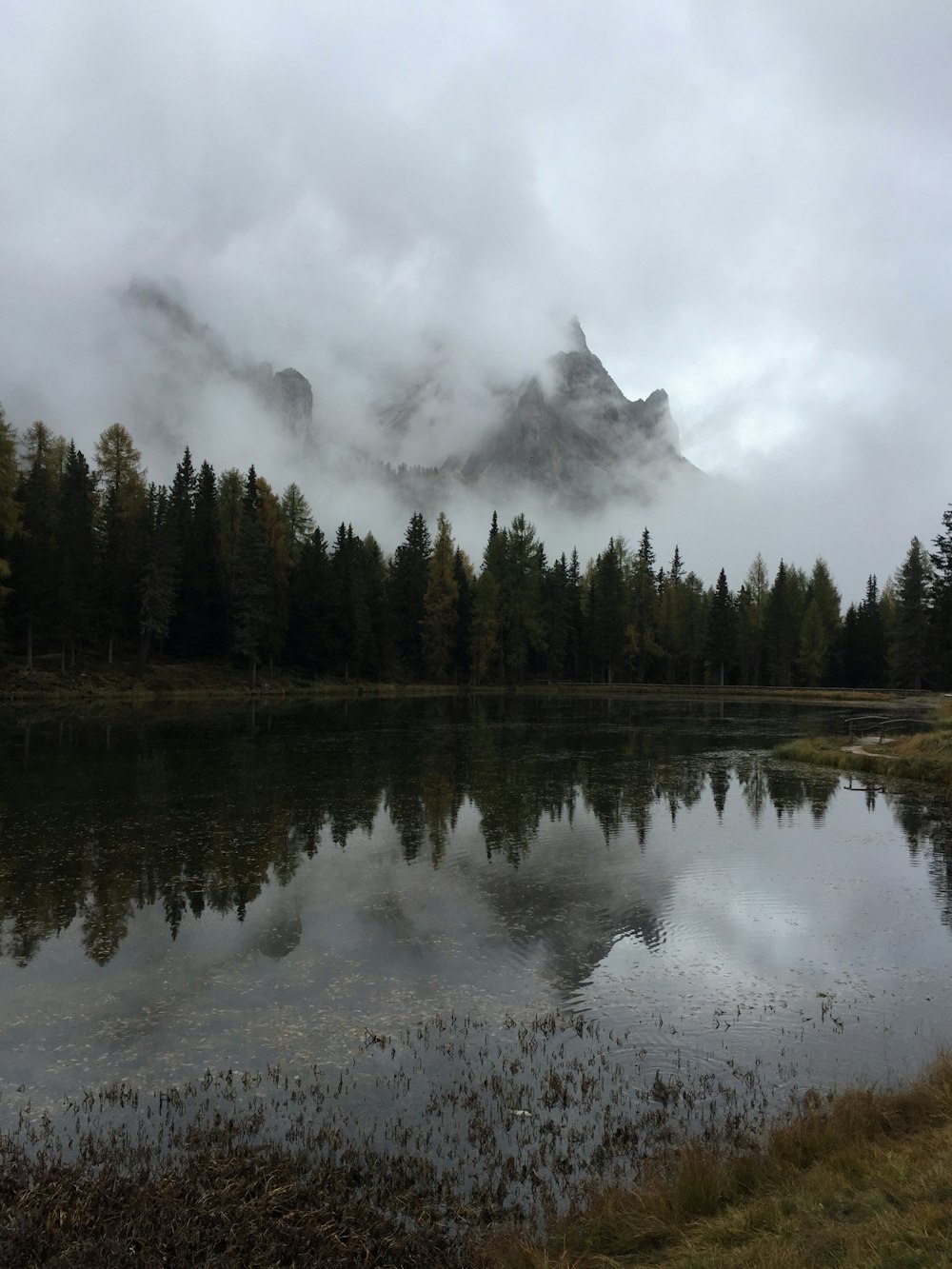 a lake with trees and a mountain in the background