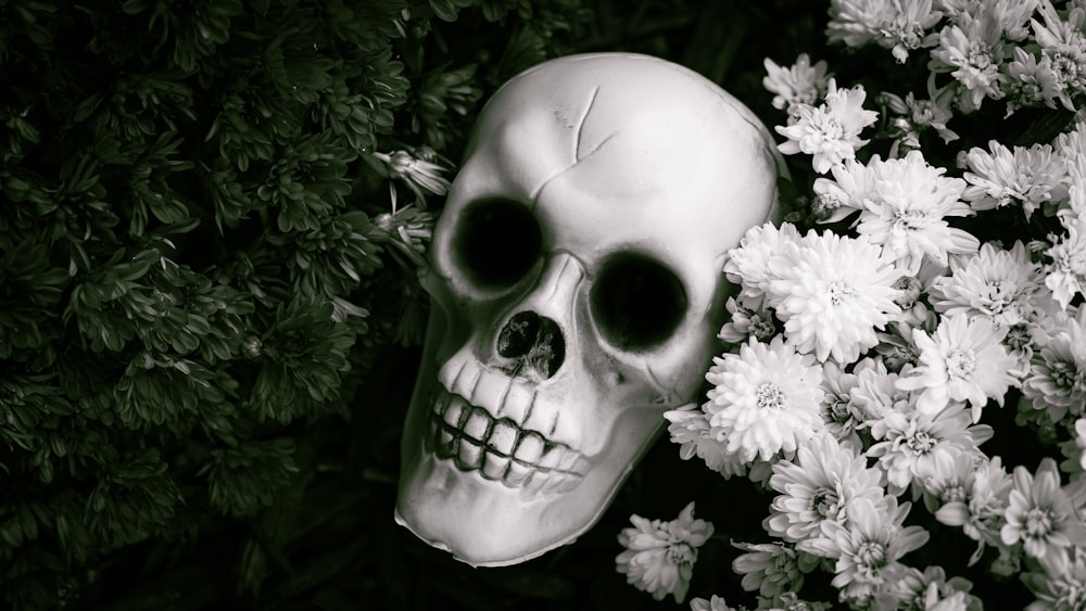 a skull surrounded by white flowers
