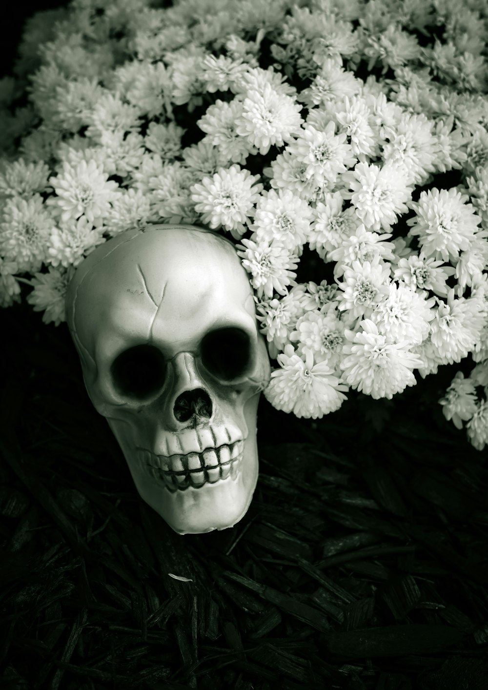 un crâne avec des fleurs autour