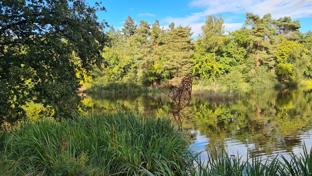 a giraffe standing in a pond