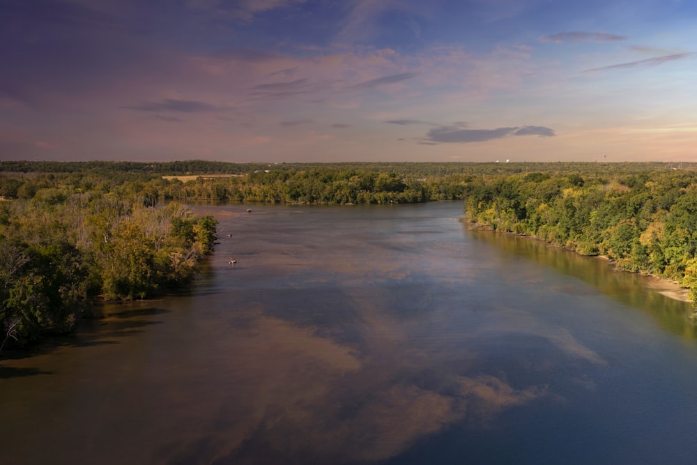 a river with trees on the side