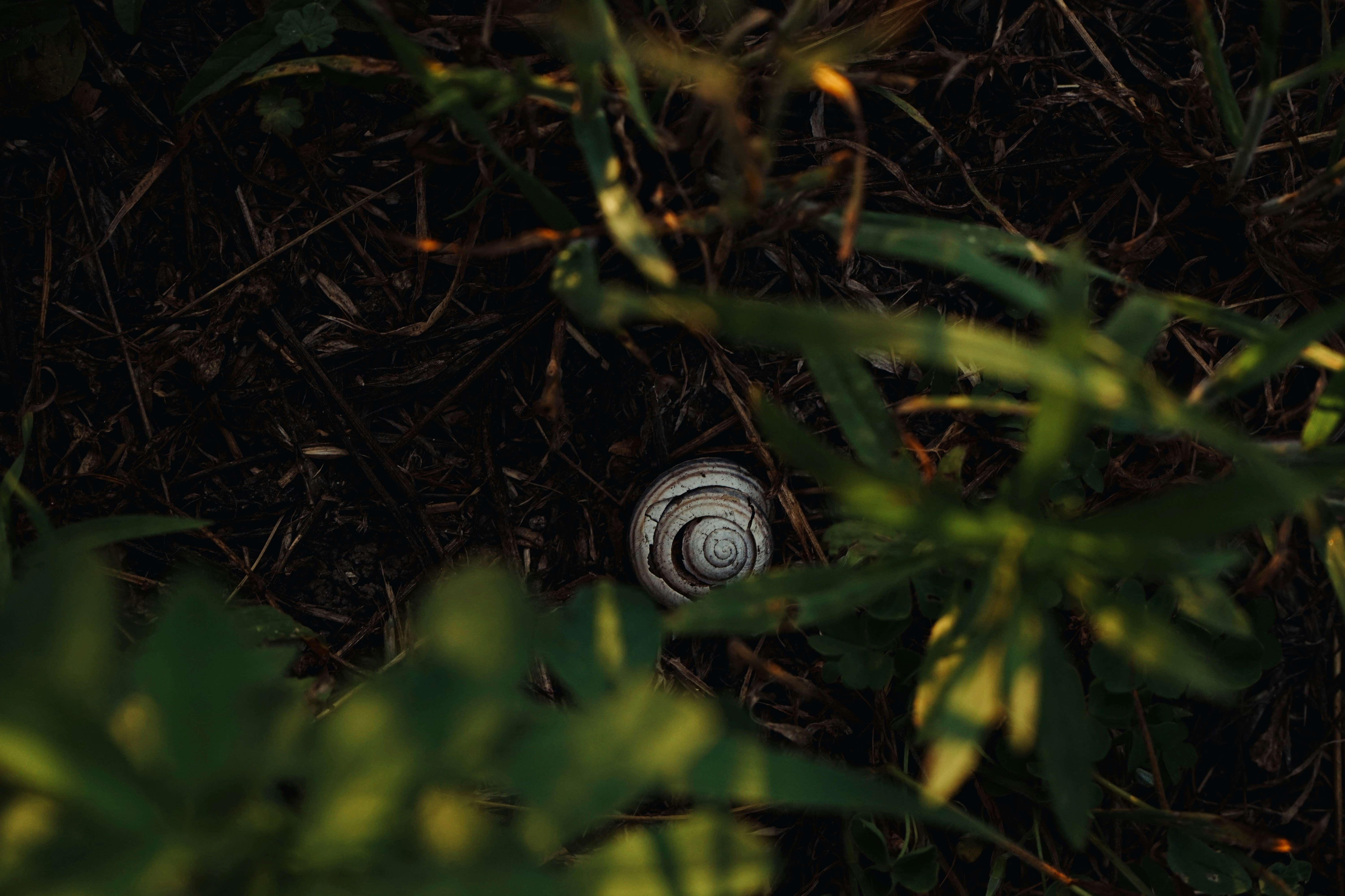 Photo by thdrmdrctr