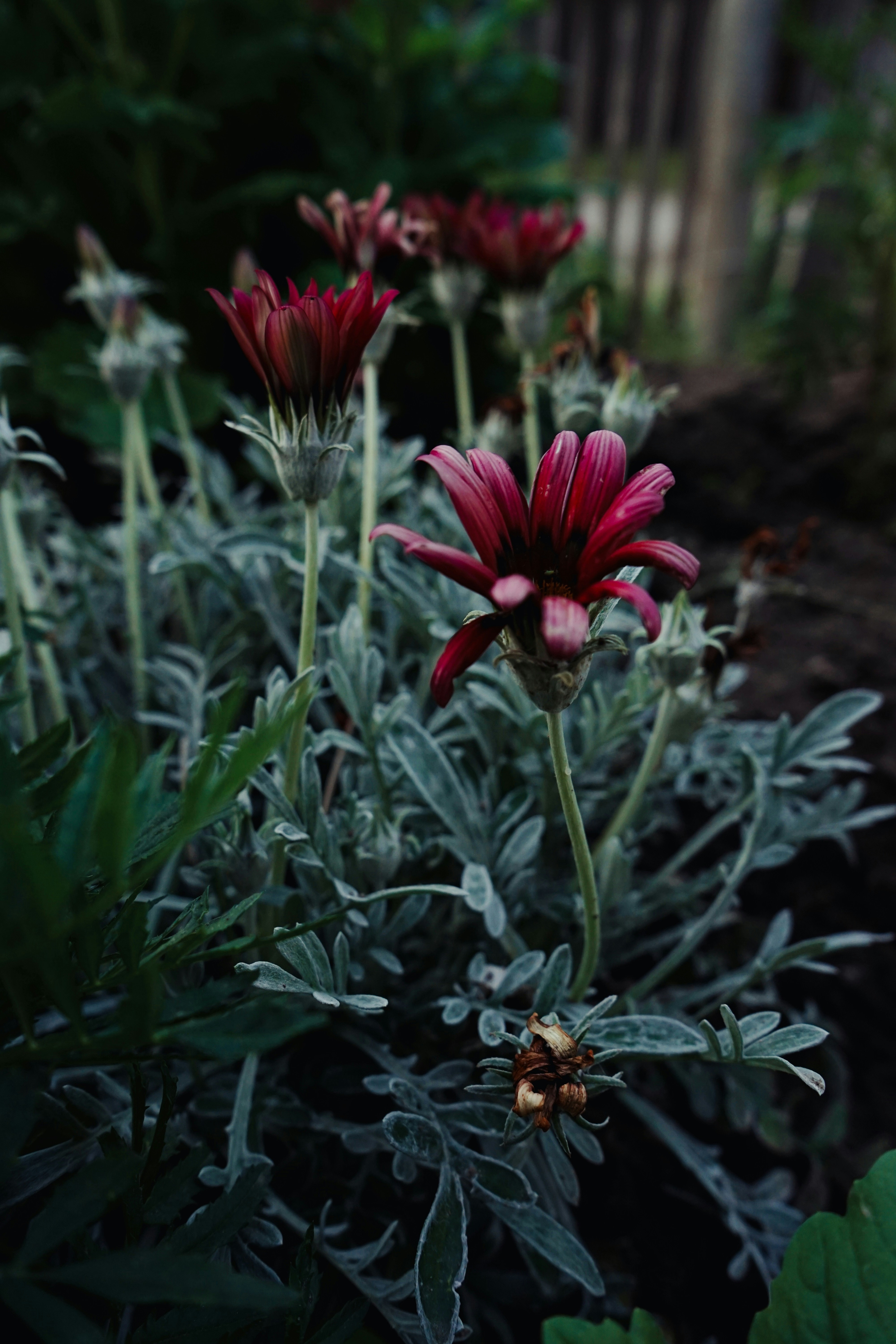 Photo by thdrmdrctr