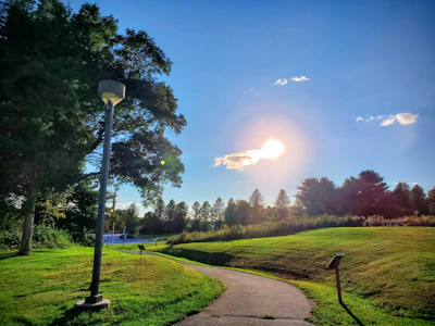 An outdoor virtual park scene with bots and agents enjoying a sunny day together.