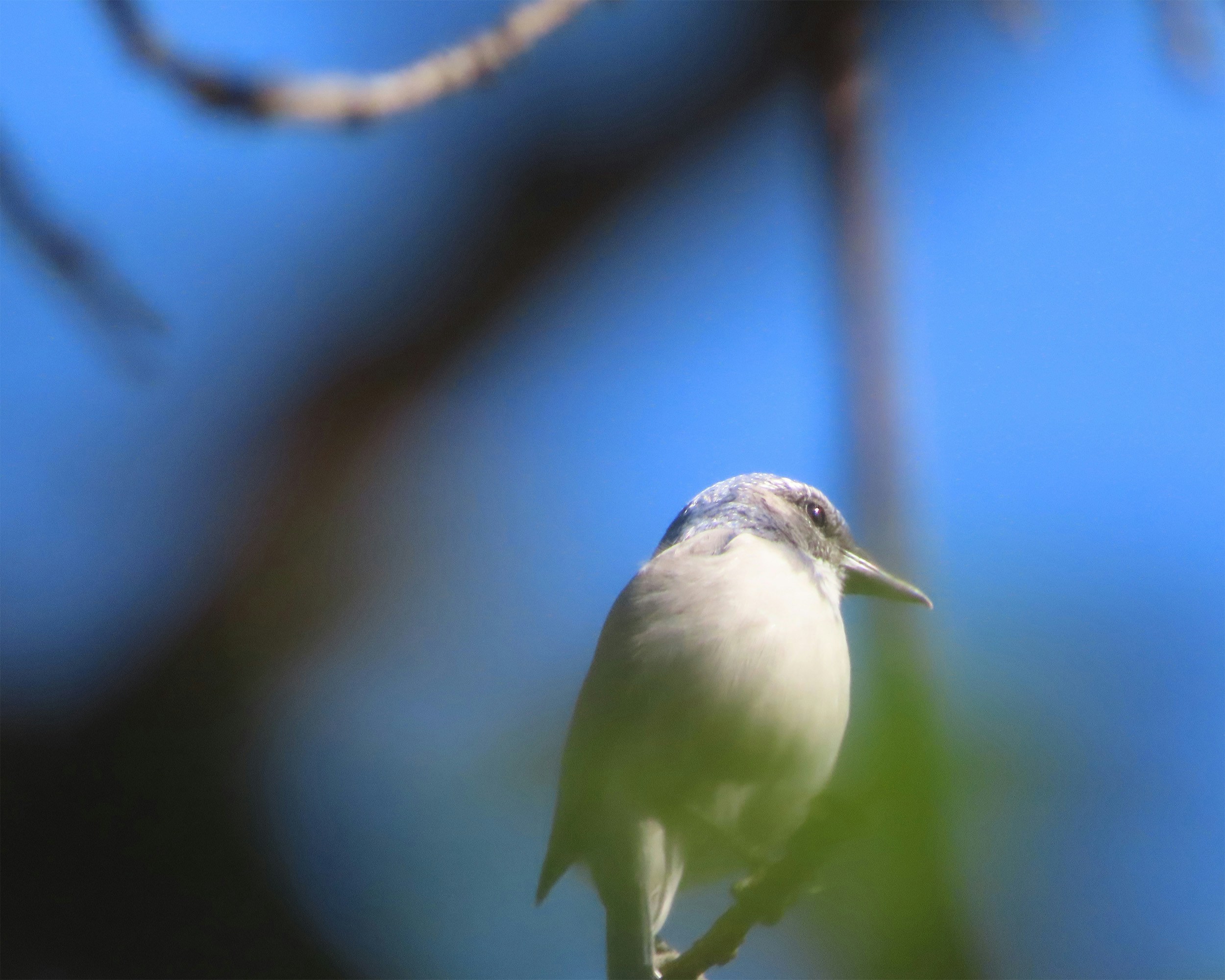 Photo by monakool
