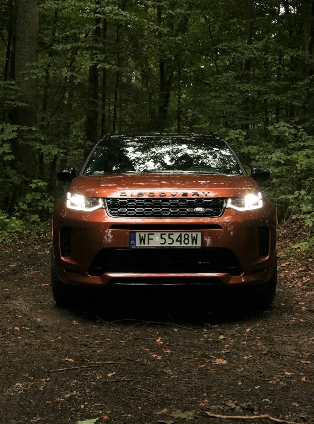 a car parked in a wooded area