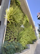 A vertical garden wall bursting with greenery on an urban balcony.