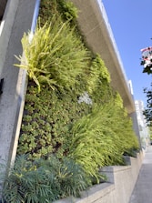 Close-up of a vertical garden wall featuring various greenery and flowering plants in an urban setting.