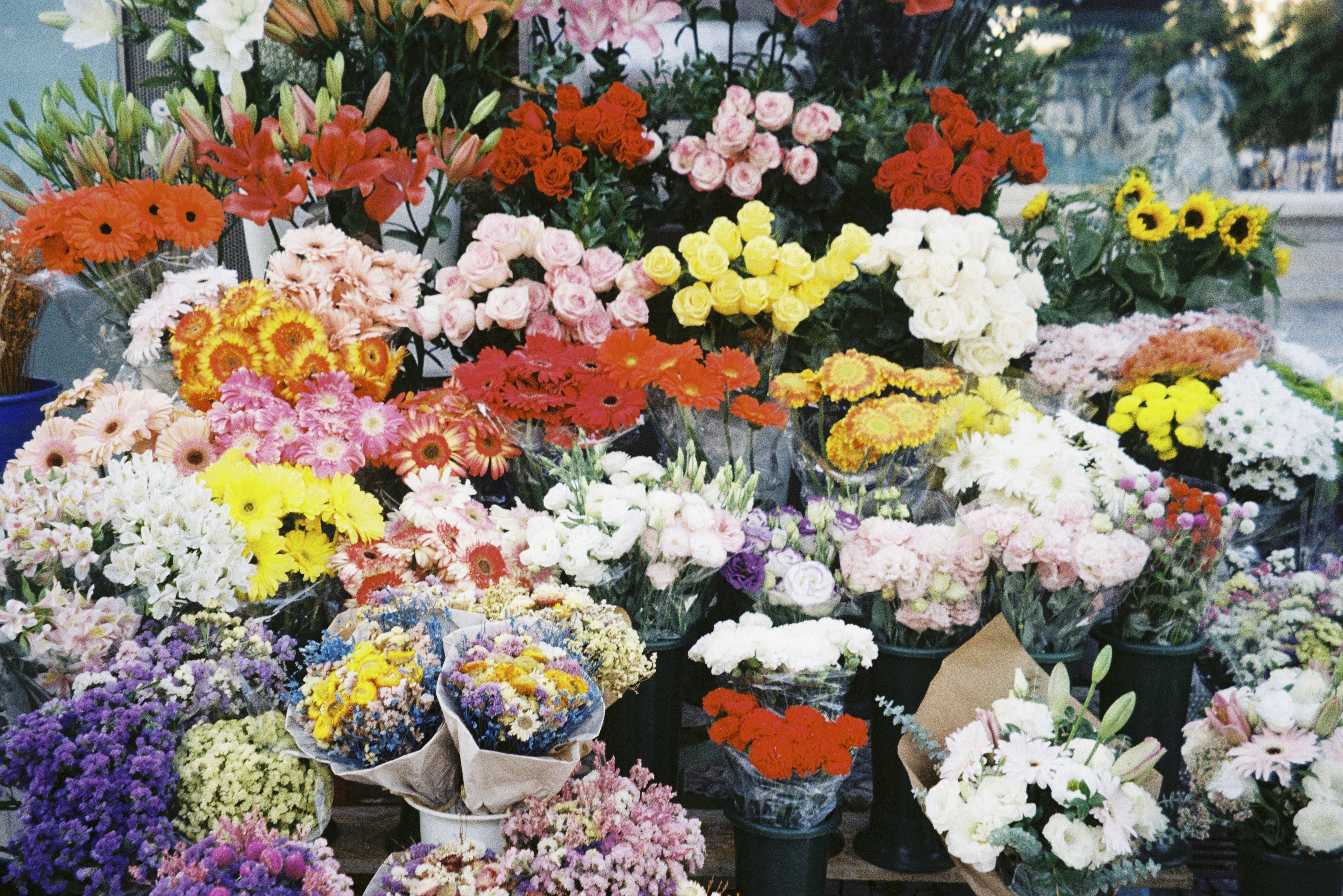 Consumption and Storage⁢ Recommendations: Dose Guidance, Inhalation ‌Methods and Shelf Life Best Practices