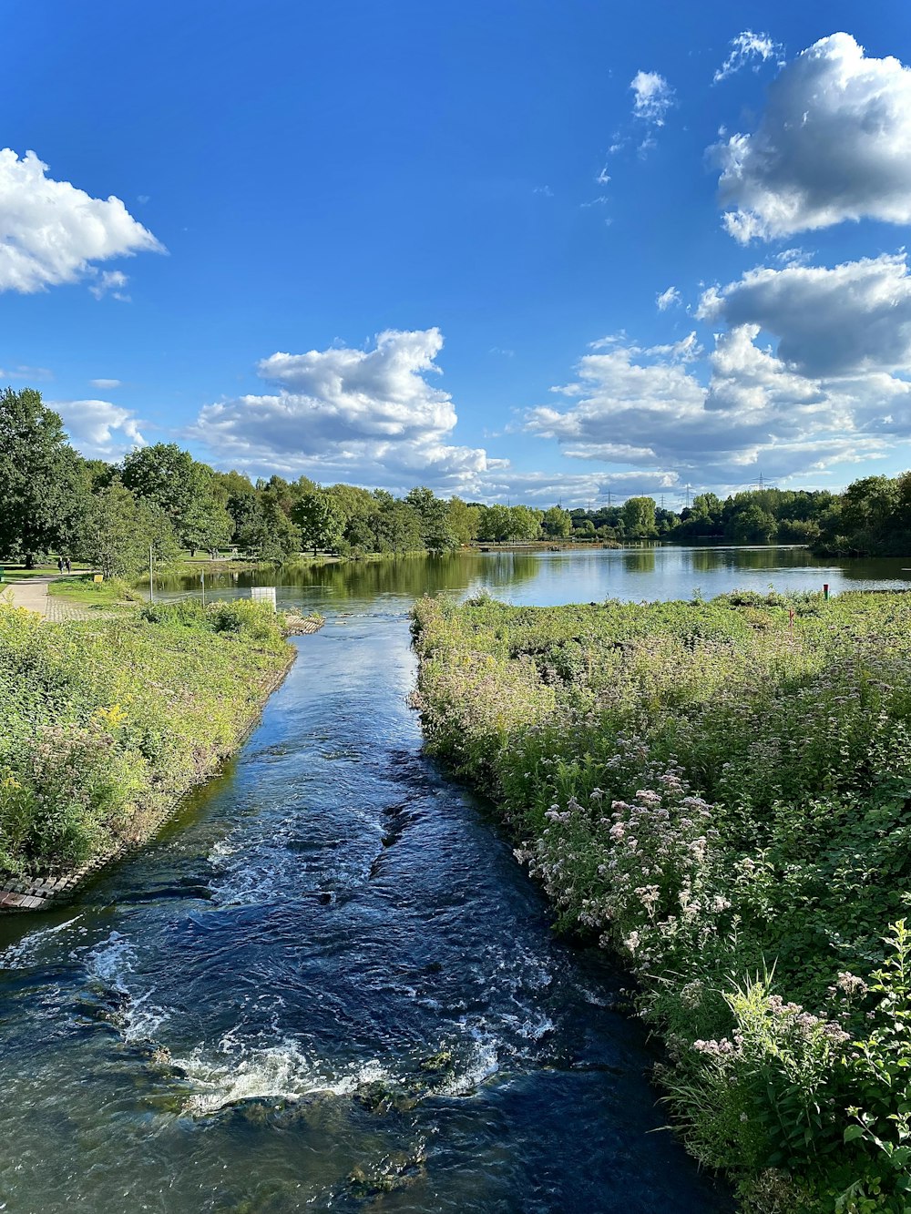 a river with a flower bed