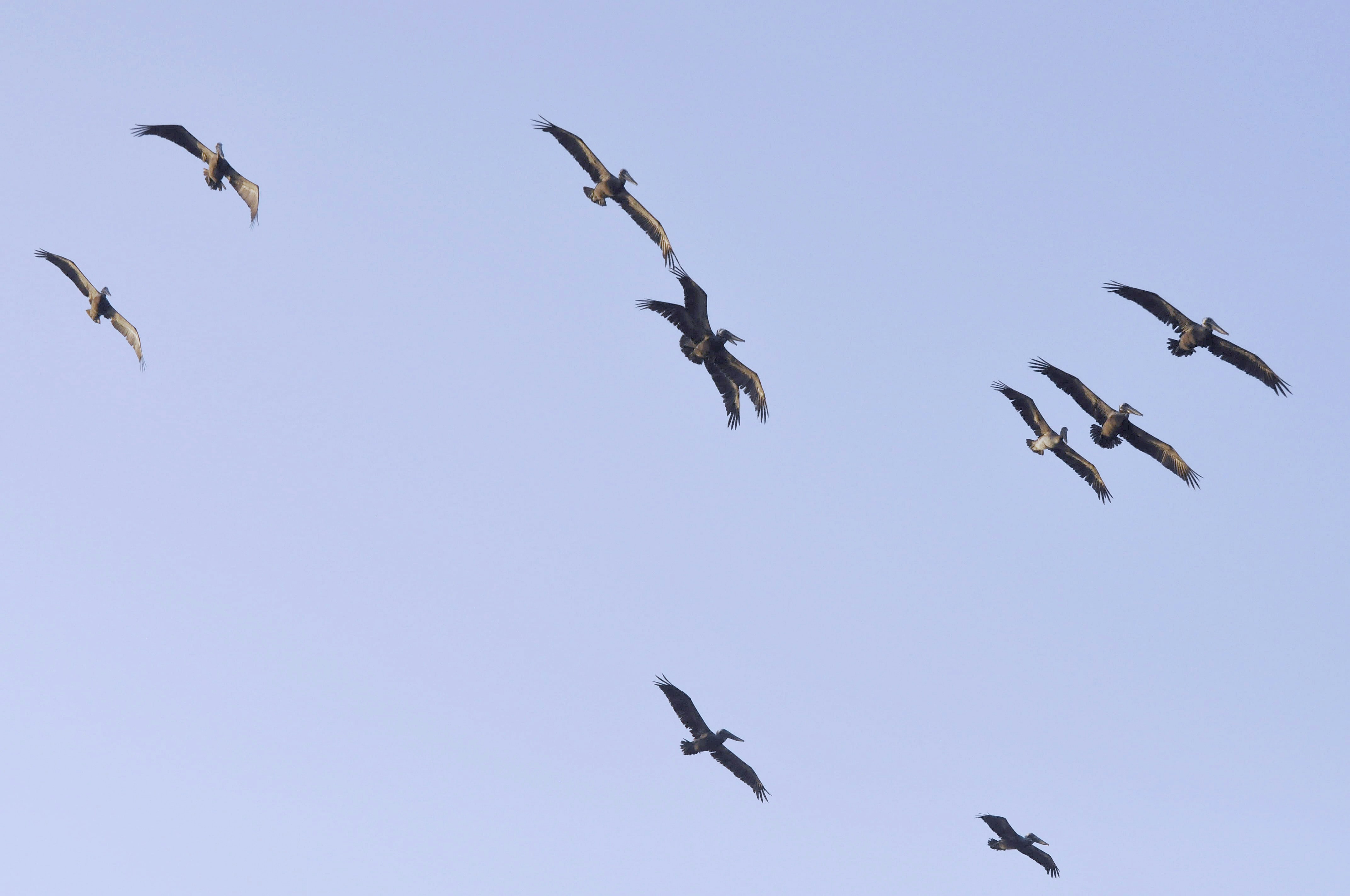 Photo by climatechangevi