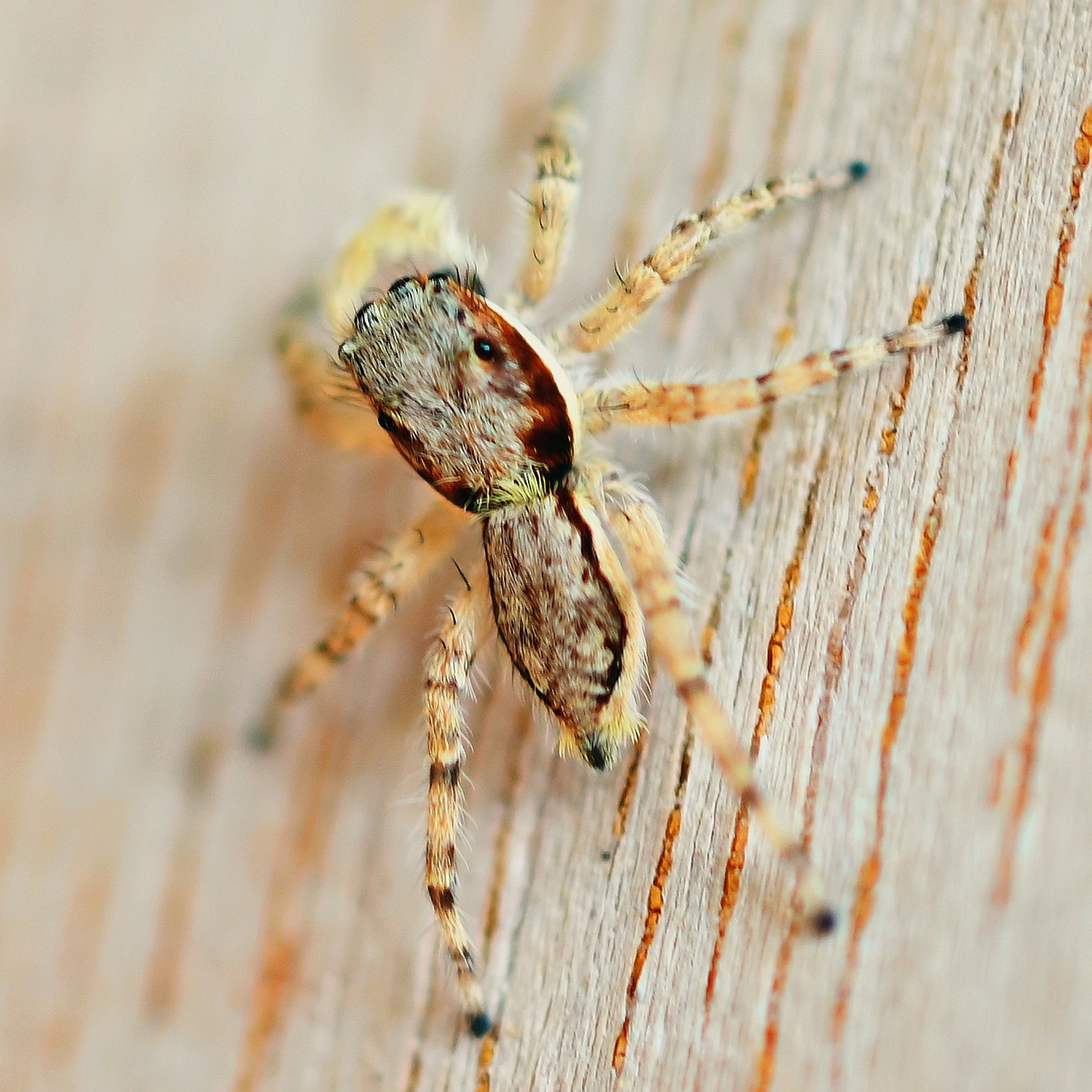 Photo by climatechangevi