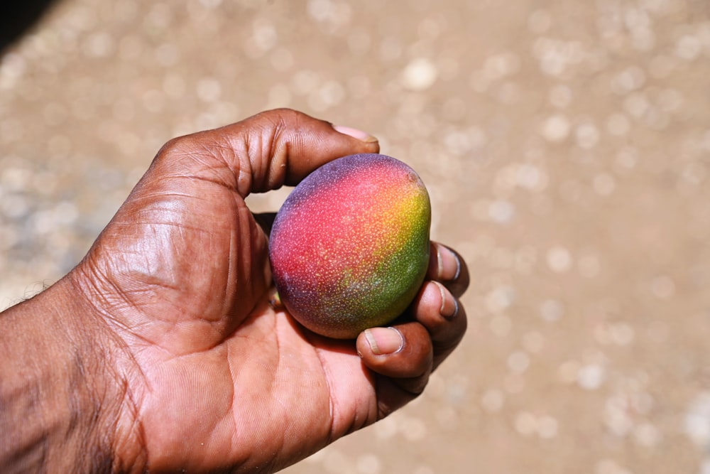 a hand holding a red apple