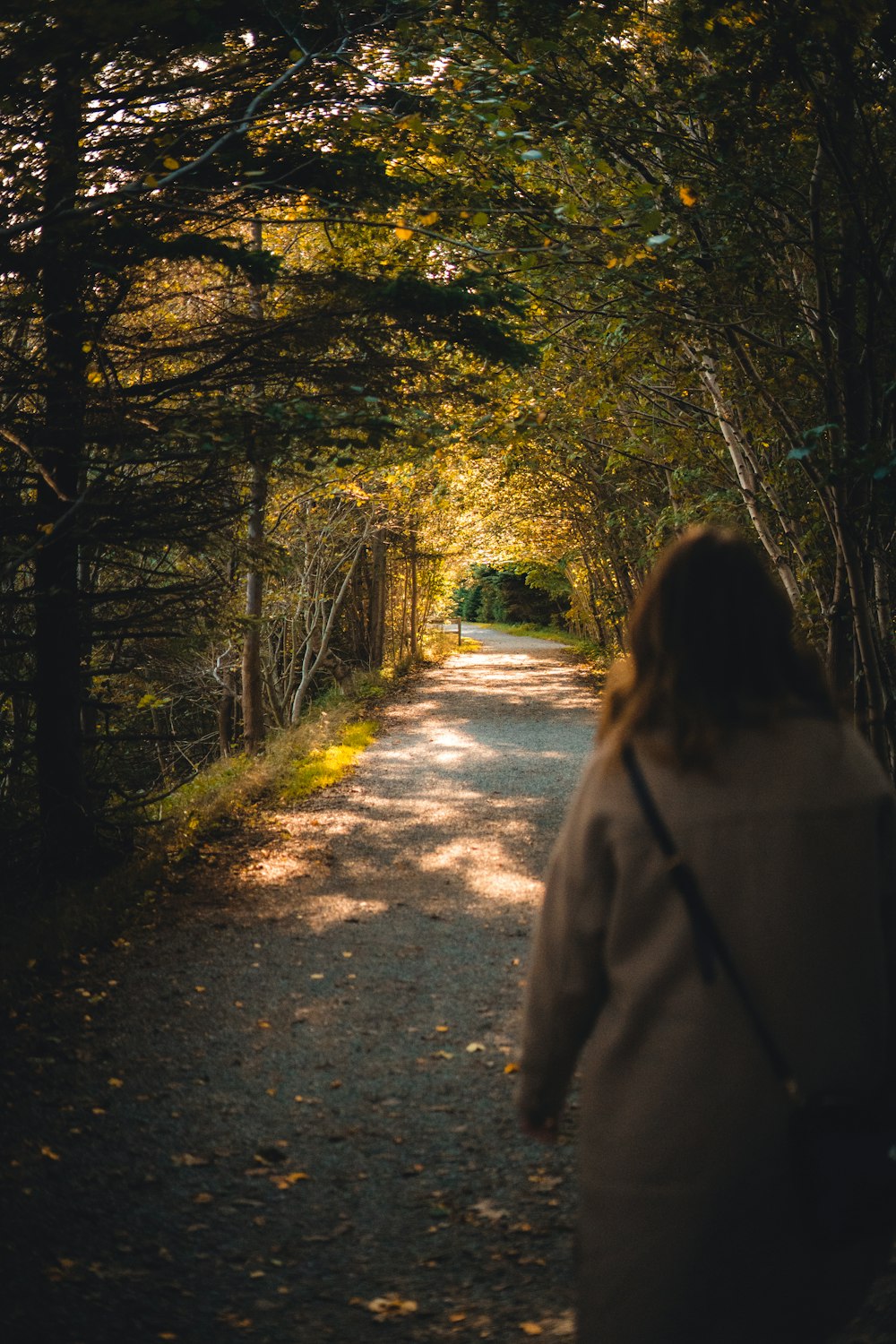 a person walking down a path in a forest