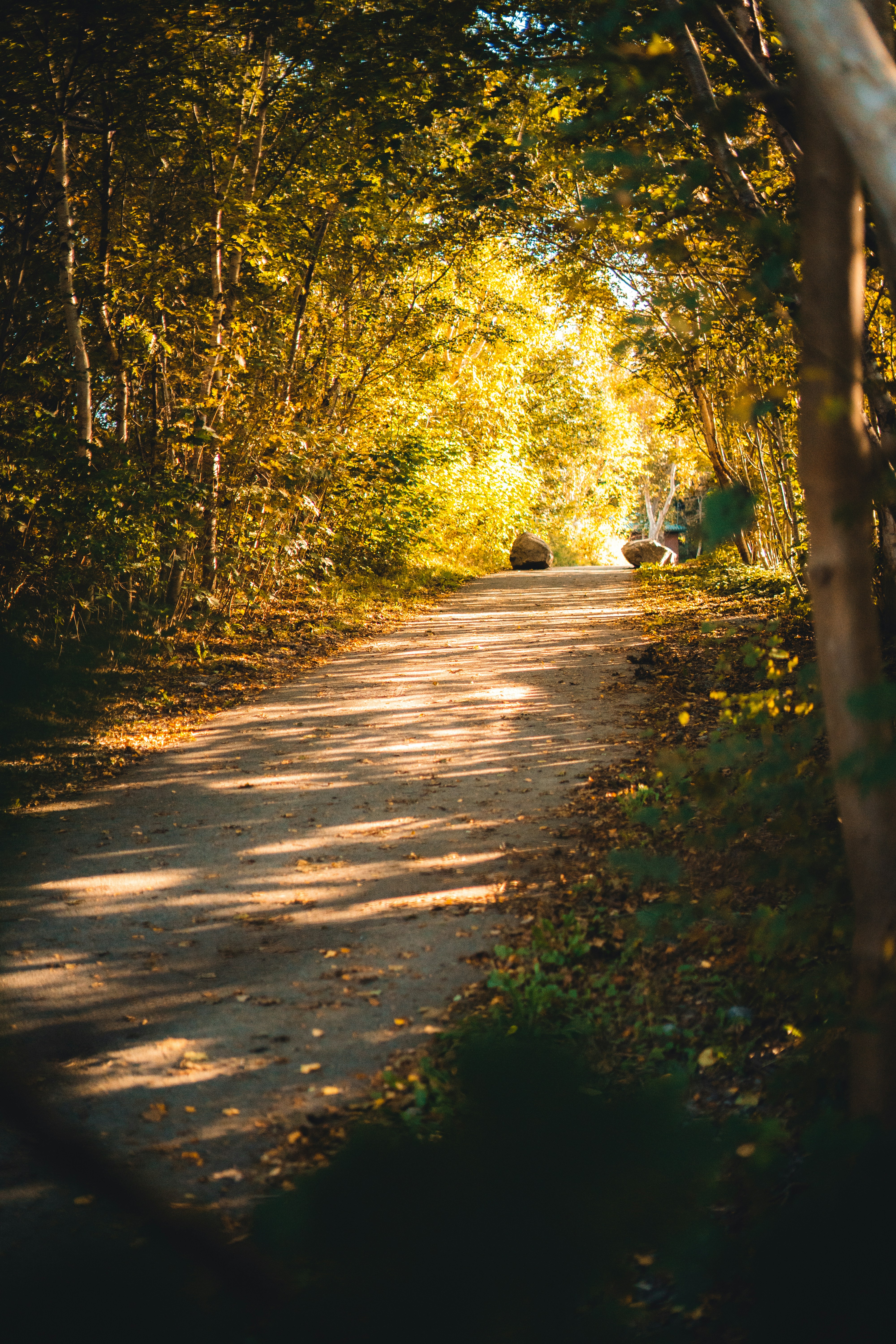 Photo by introspectivedsgn