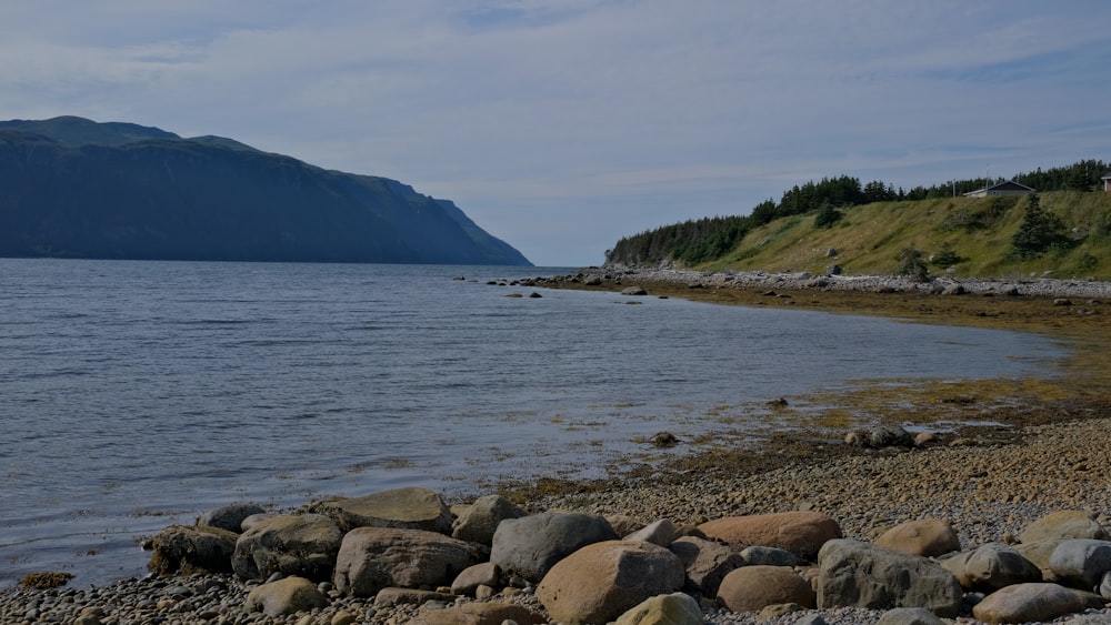 a rocky beach with a hill in the background