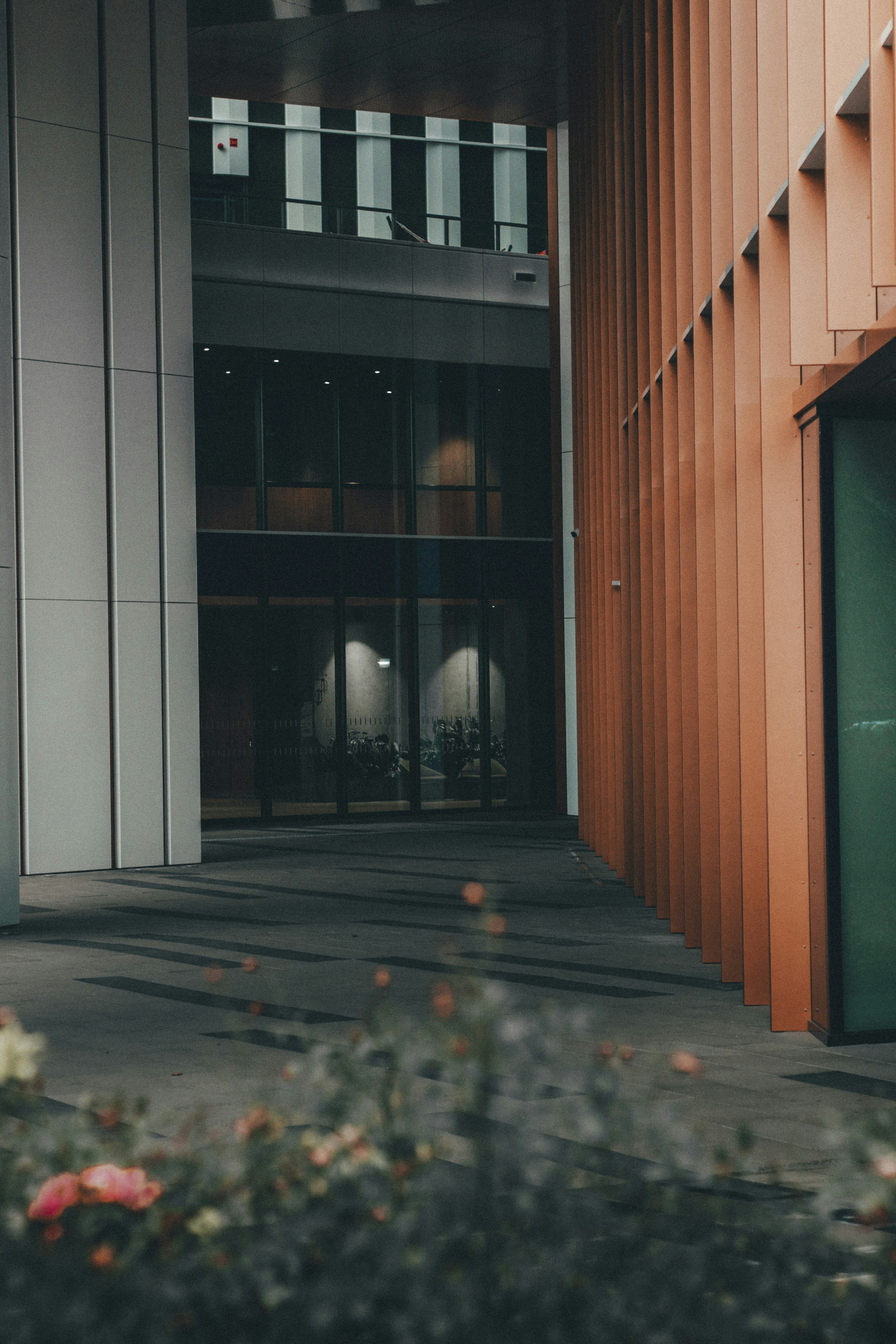 Photo by iamfrancismorgan