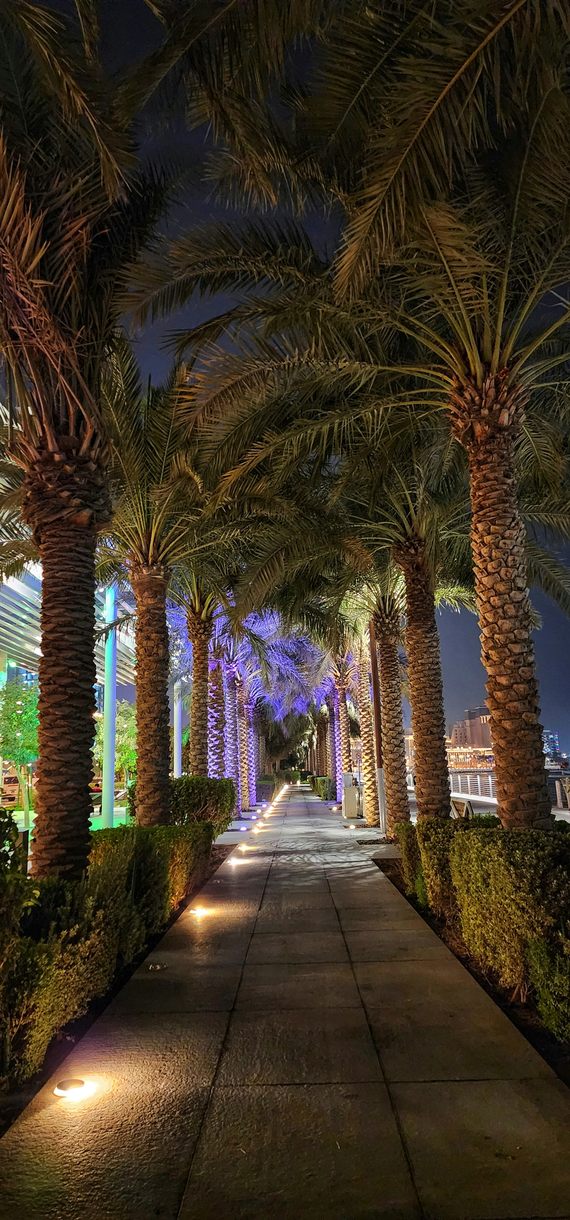 Photo by masarathalkhaili