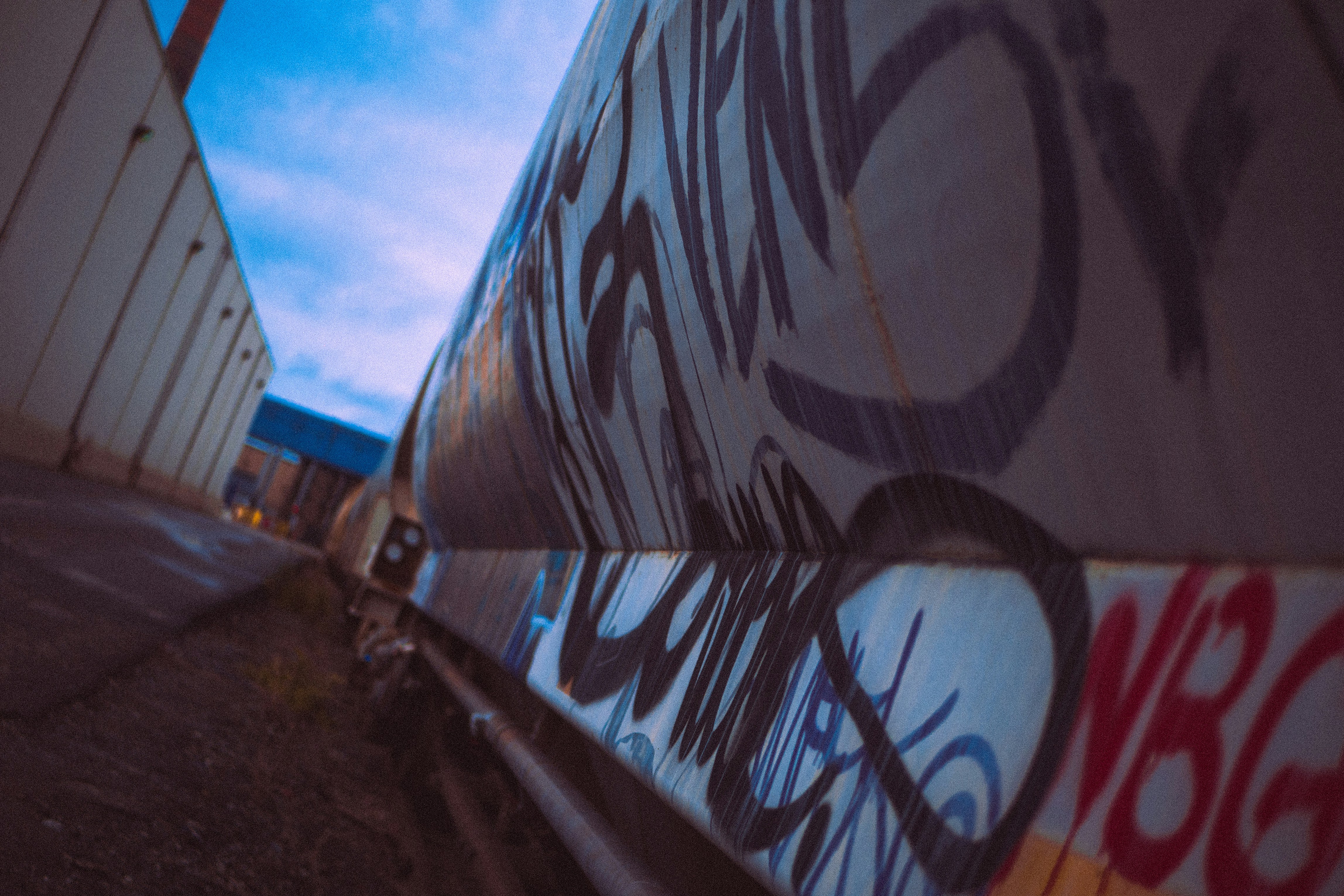 Photo by shamirdevon