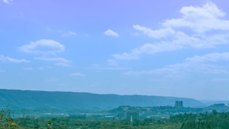 A serene view of Om Swapna City’s landscaped green spaces with walking paths under a clear sky.