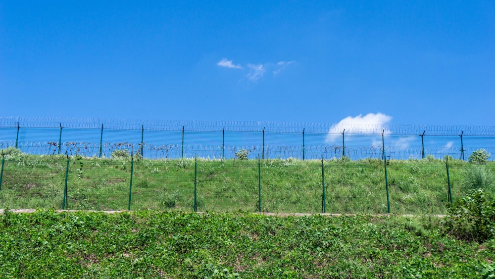a field of green grass with a fence and a body of water in the background