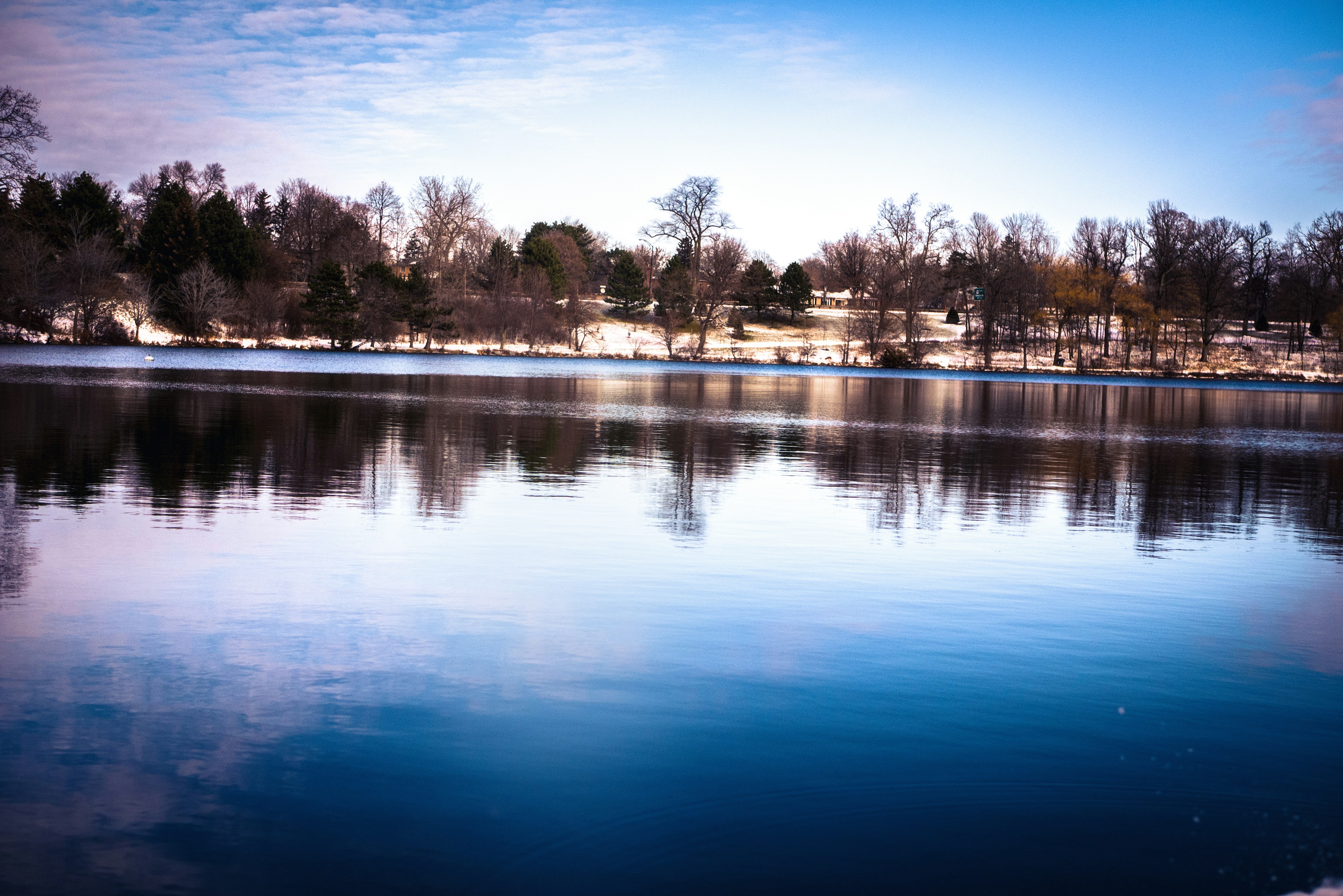 Photo by shamirdevon