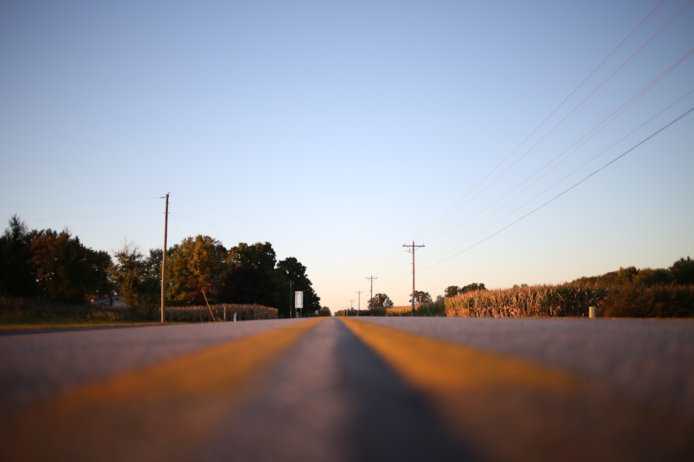 a road with trees on the side