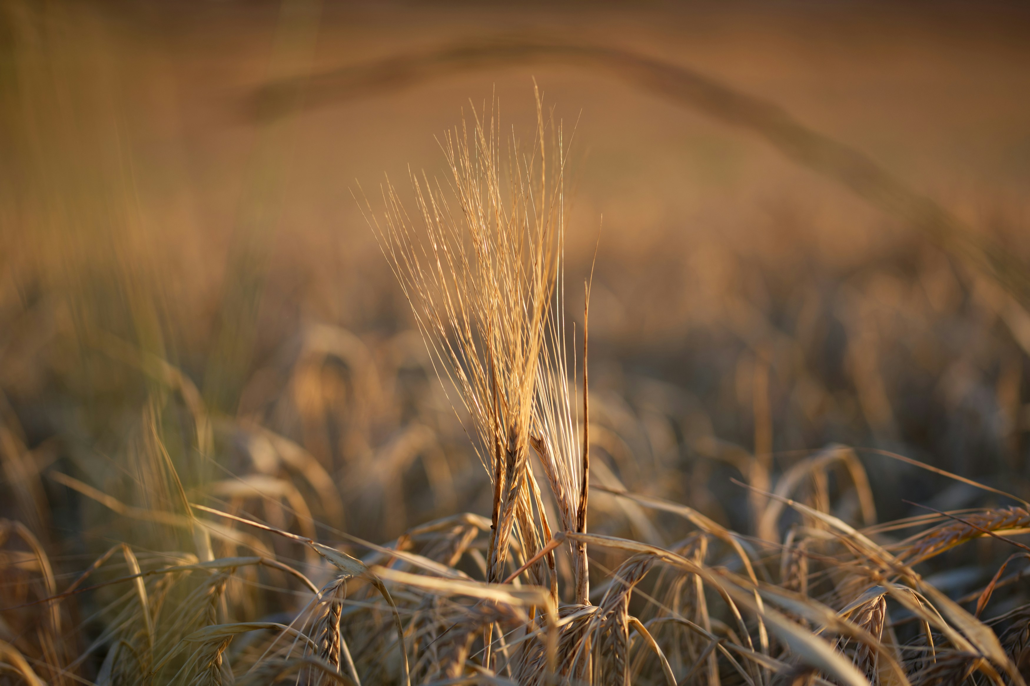 Photo by designbytholen